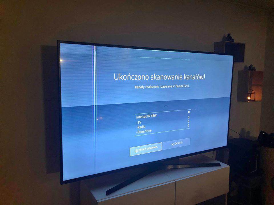 Someone sells this tv that has vertical lines, is it worth the repair ? samsung 65 inch 100 r