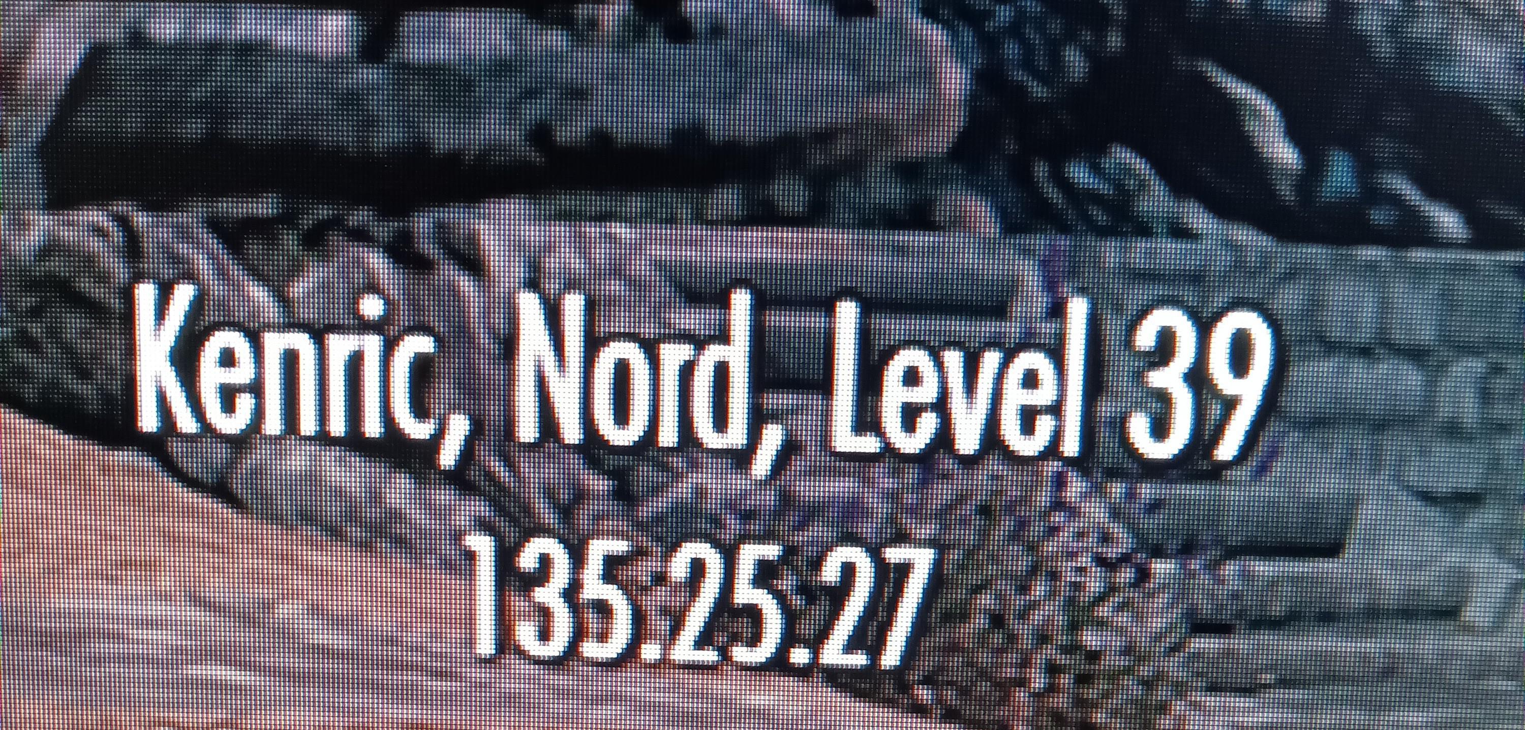 what do these mean? (the numbers underneath the name) r/skyrim