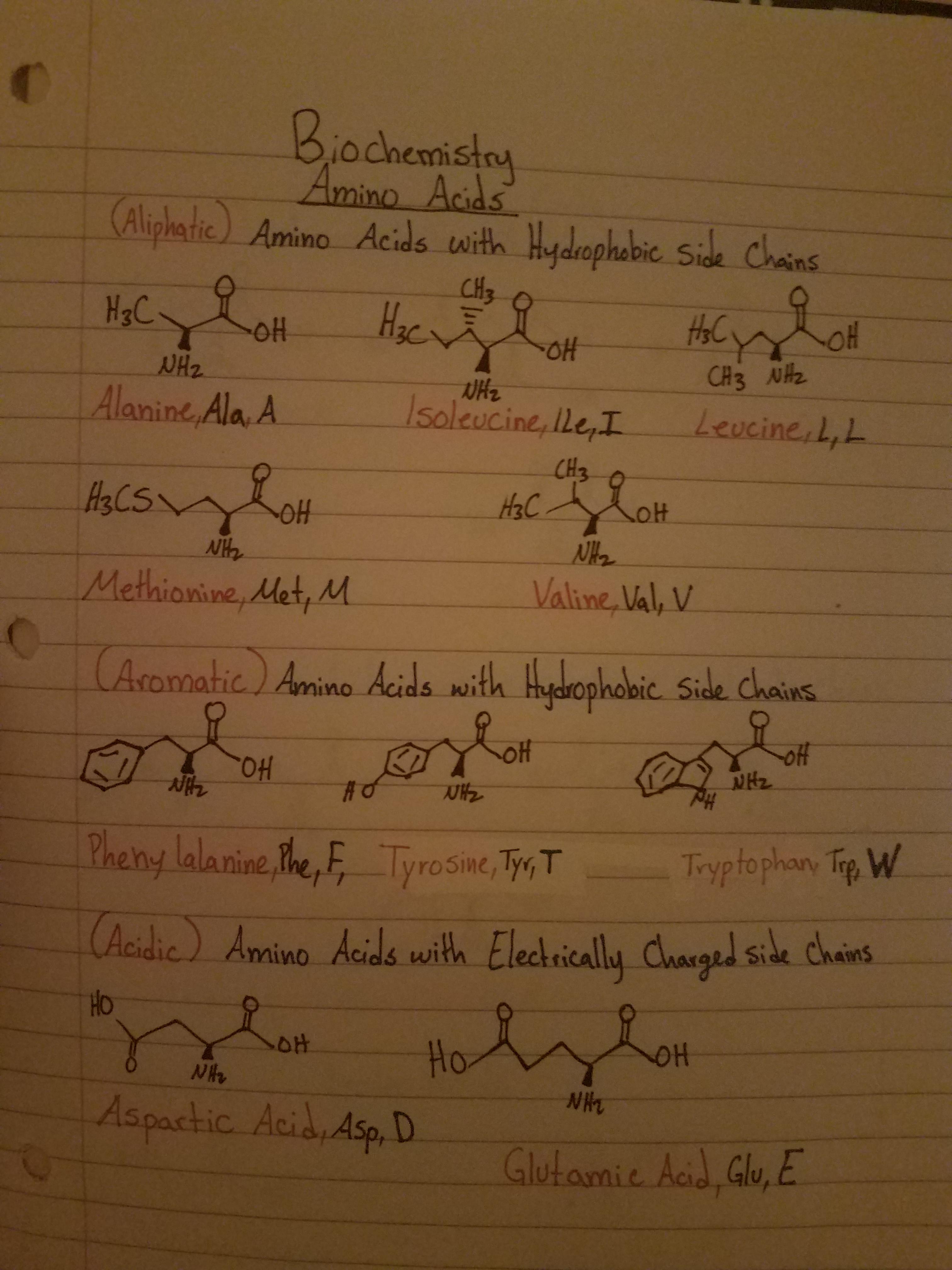 AMINO ACID STUDY GUIDE r/Mcat