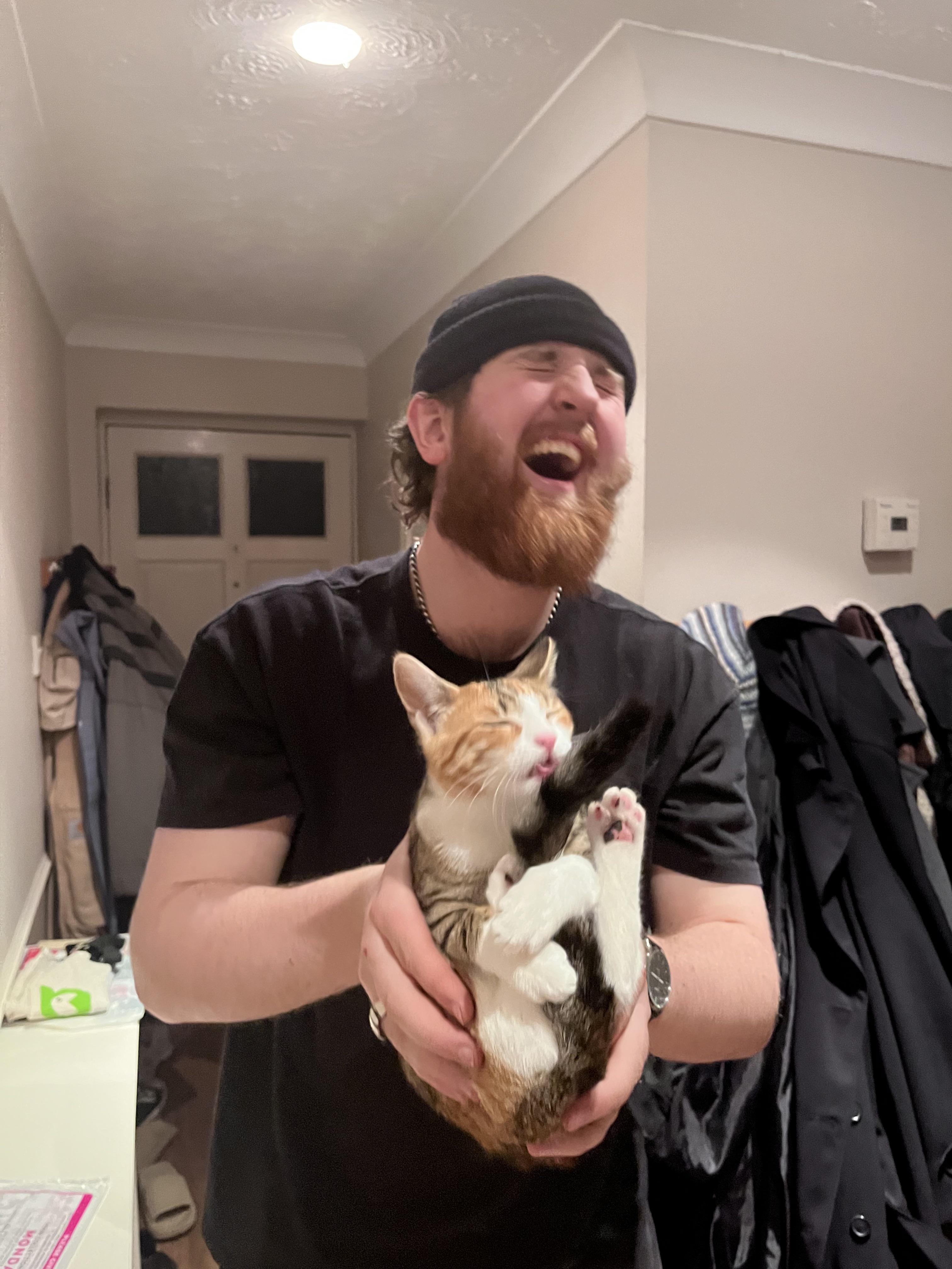 I think my friends cat fell in love with it’s tail r/AnimalsBeingDerps