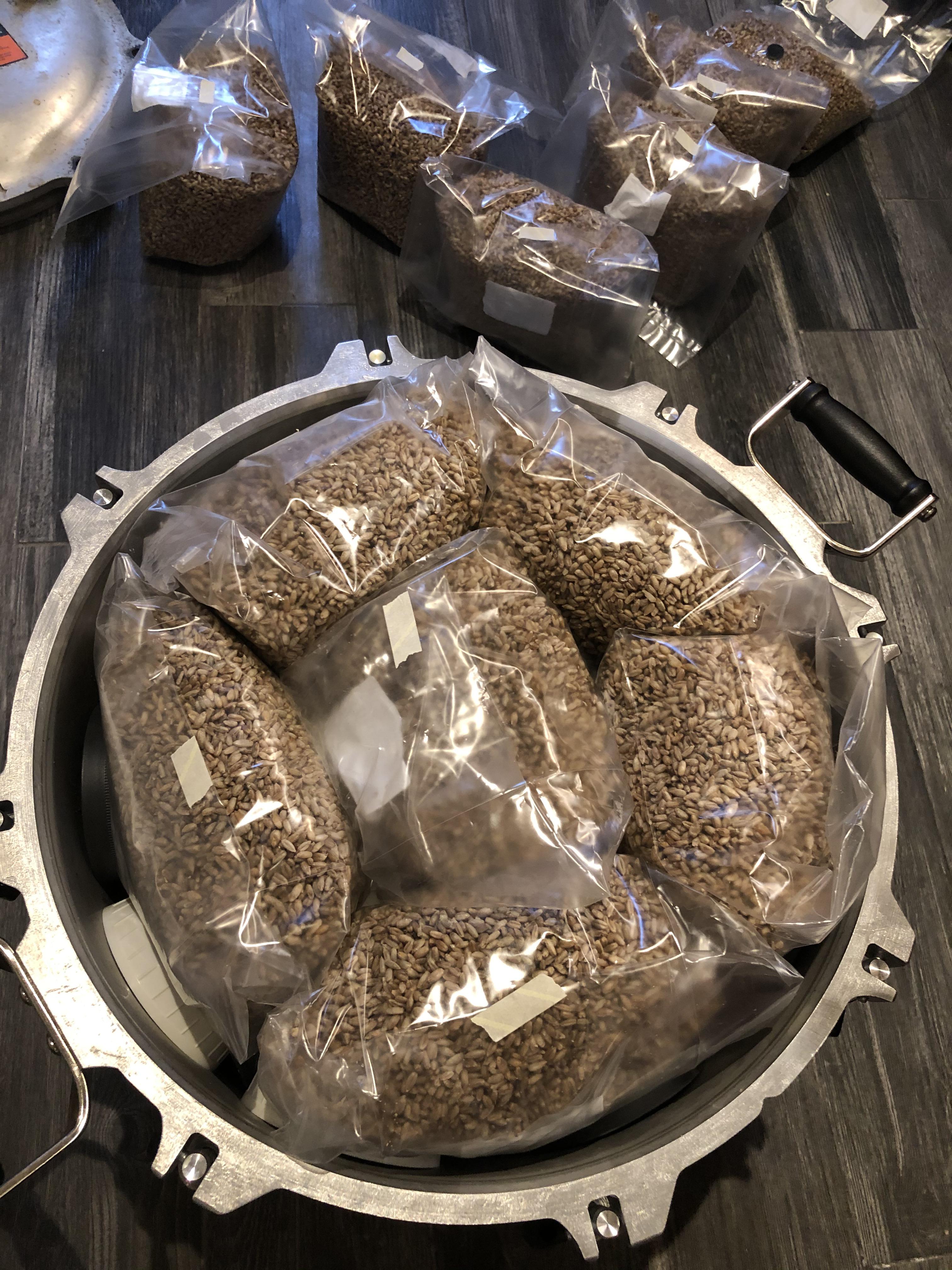 Selling sterilized 3 pound bags of organic rye berries! The rye is hydrated, bagged, sealed then