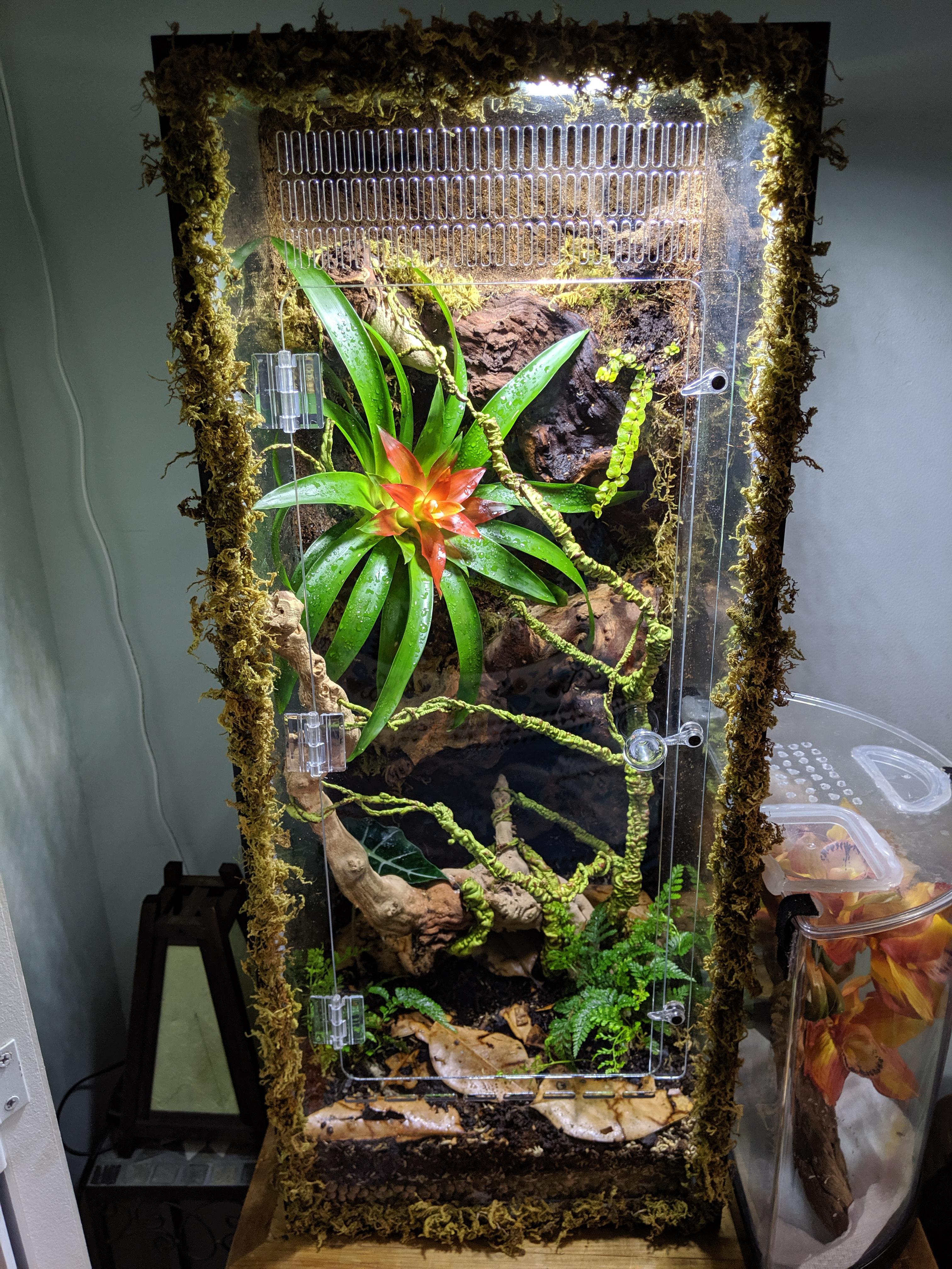 My first attempt at a custom vivarium for crested gecko! Constructive