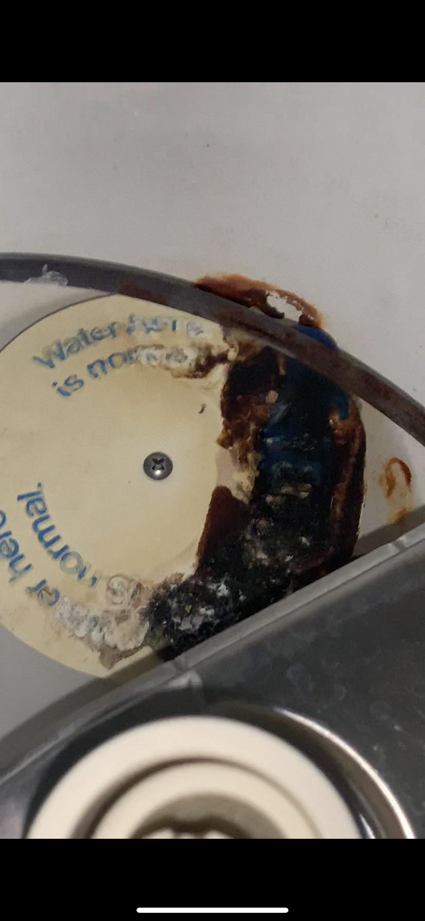 i moved into my first apartment two weeks ago & noticed the dishwasher