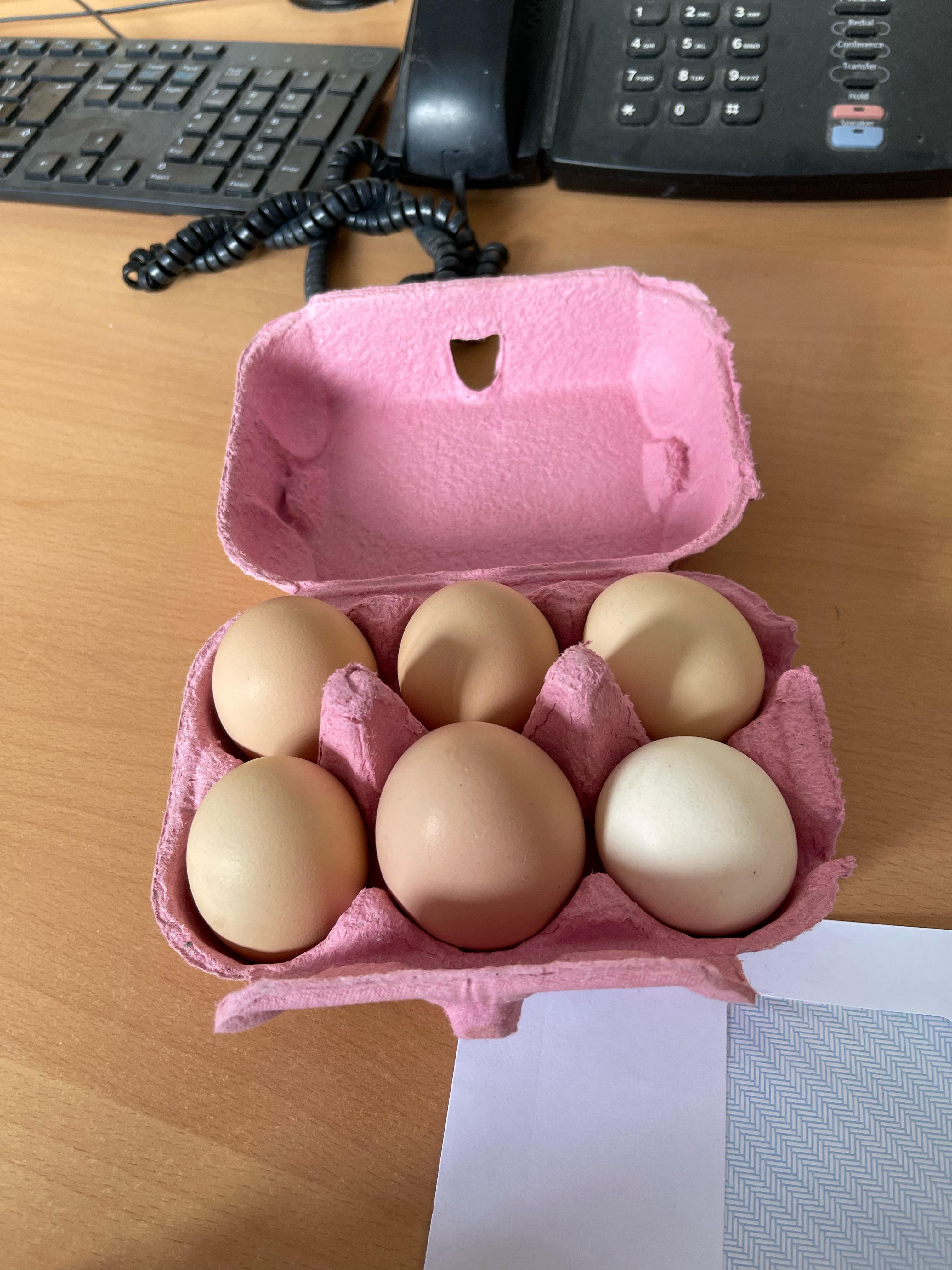 Microwaving Eggs r/eggs