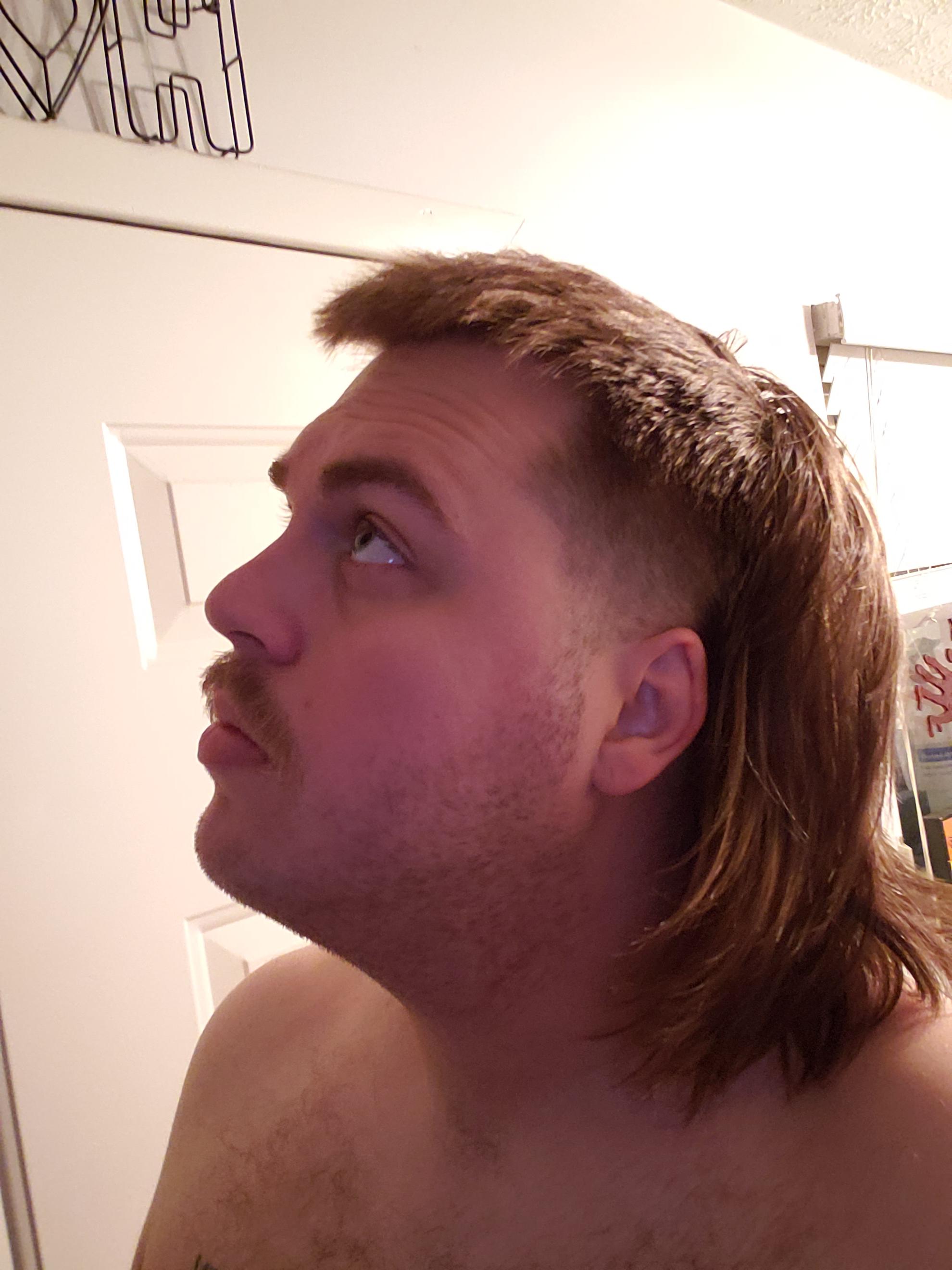 10 Month old Mullet. Started from a buzz cut. r/Mullets