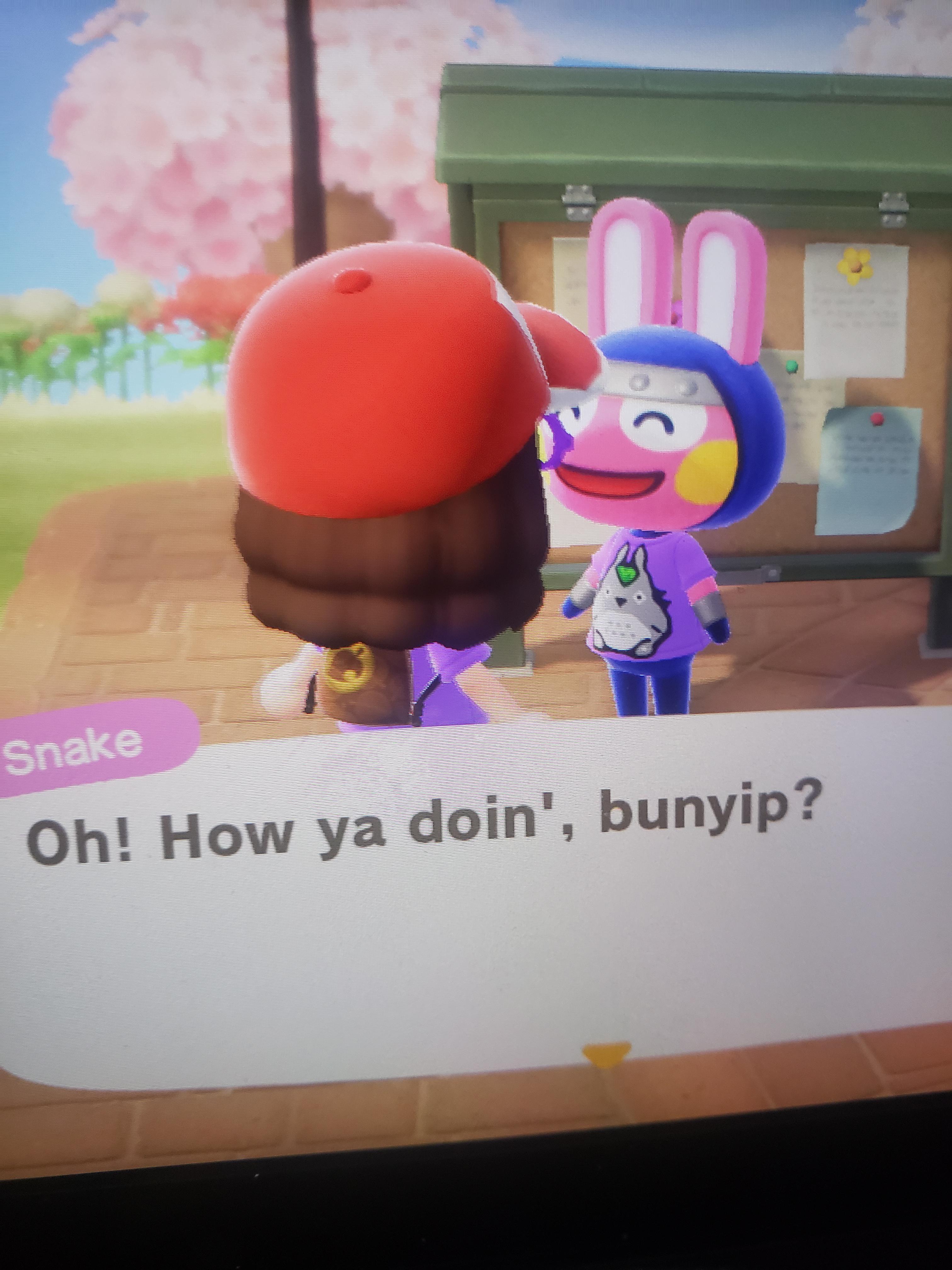 Snake... you redeemed yourself by buying my shirt... for now. AnimalCrossing