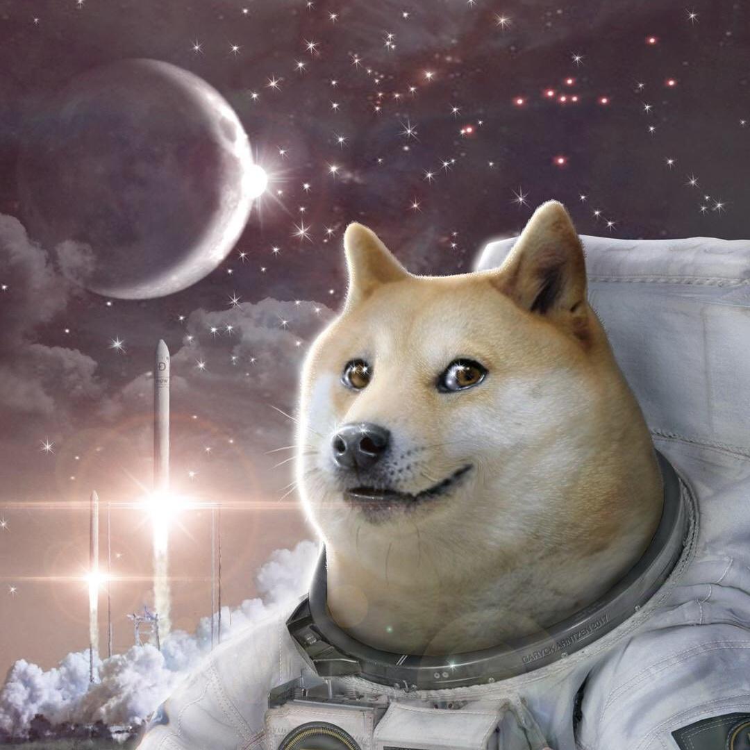 Doge 1080X1080 Communist Doge Salter Oscar Twitter Top suggestions