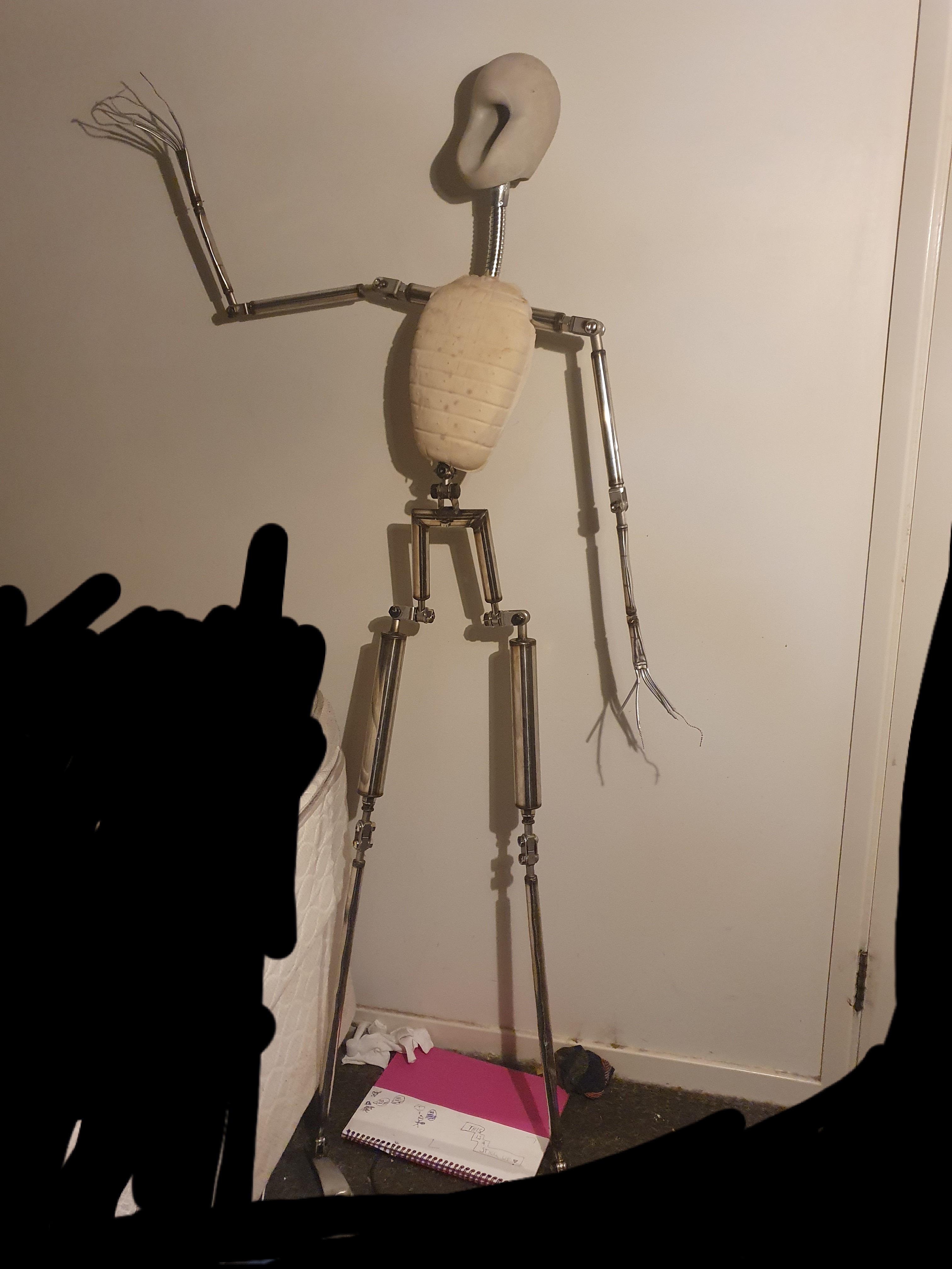 Update: Kimber Doll skeleton with skull. : SexDolls