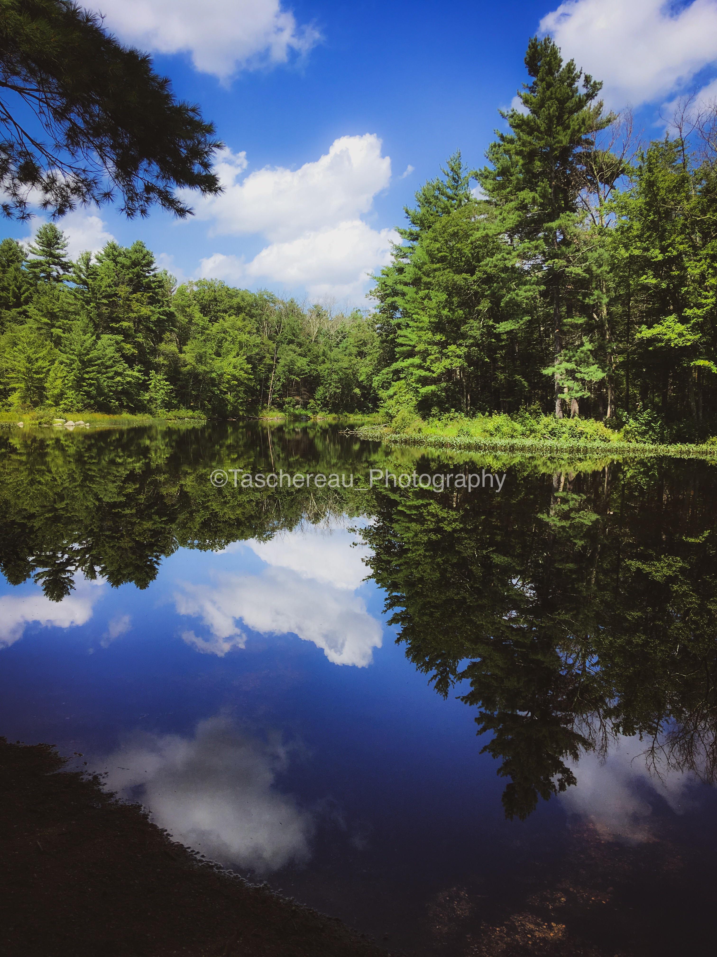 Beautiful day by Little Round Top Pond, RI [3024x4032] [OC] r/EarthPorn