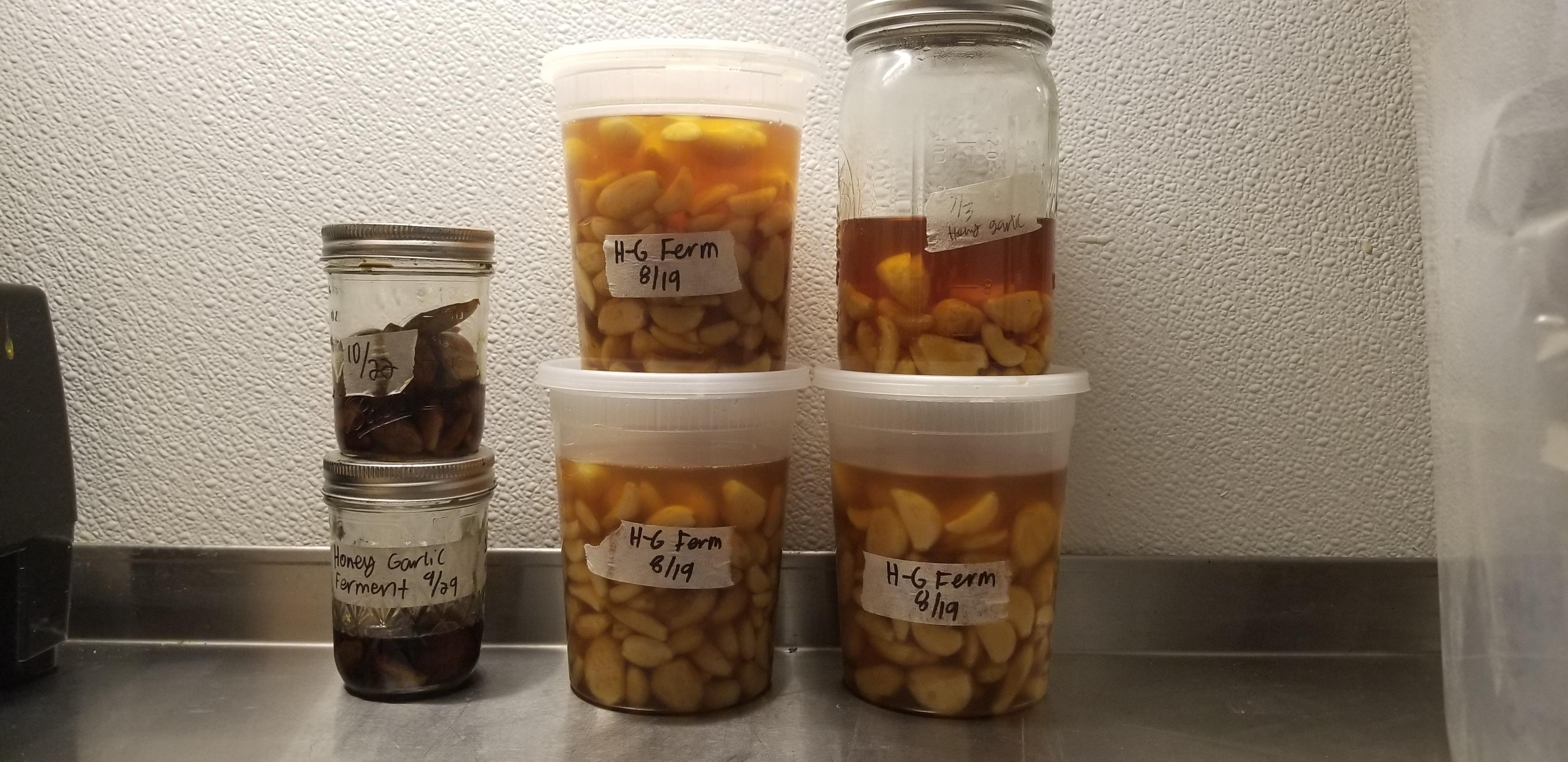 Over 1 gallon of honey fermented garlic at various stages r/fermentation