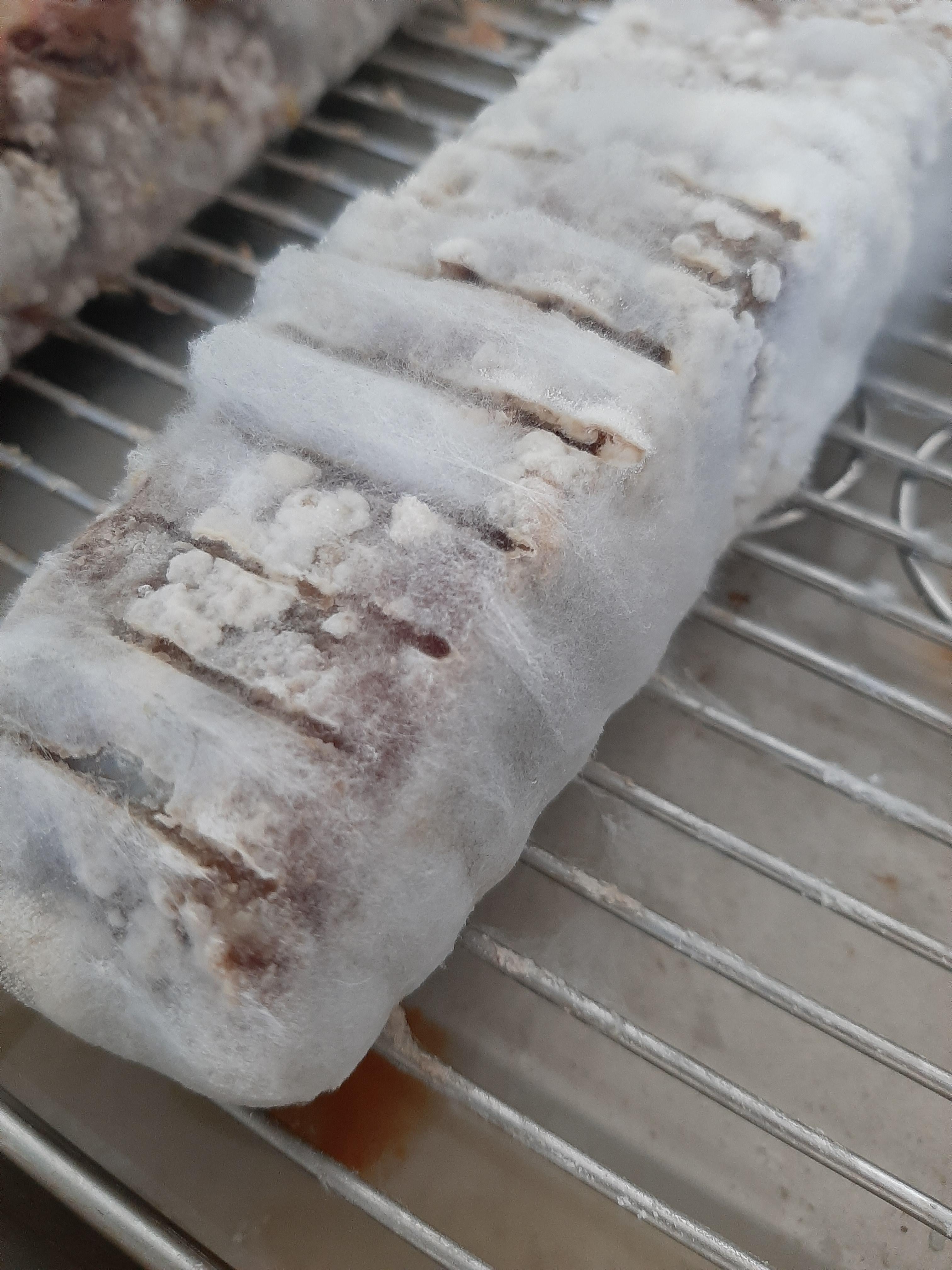 I tried growing koji mold on beef using just koji rice and rice flour