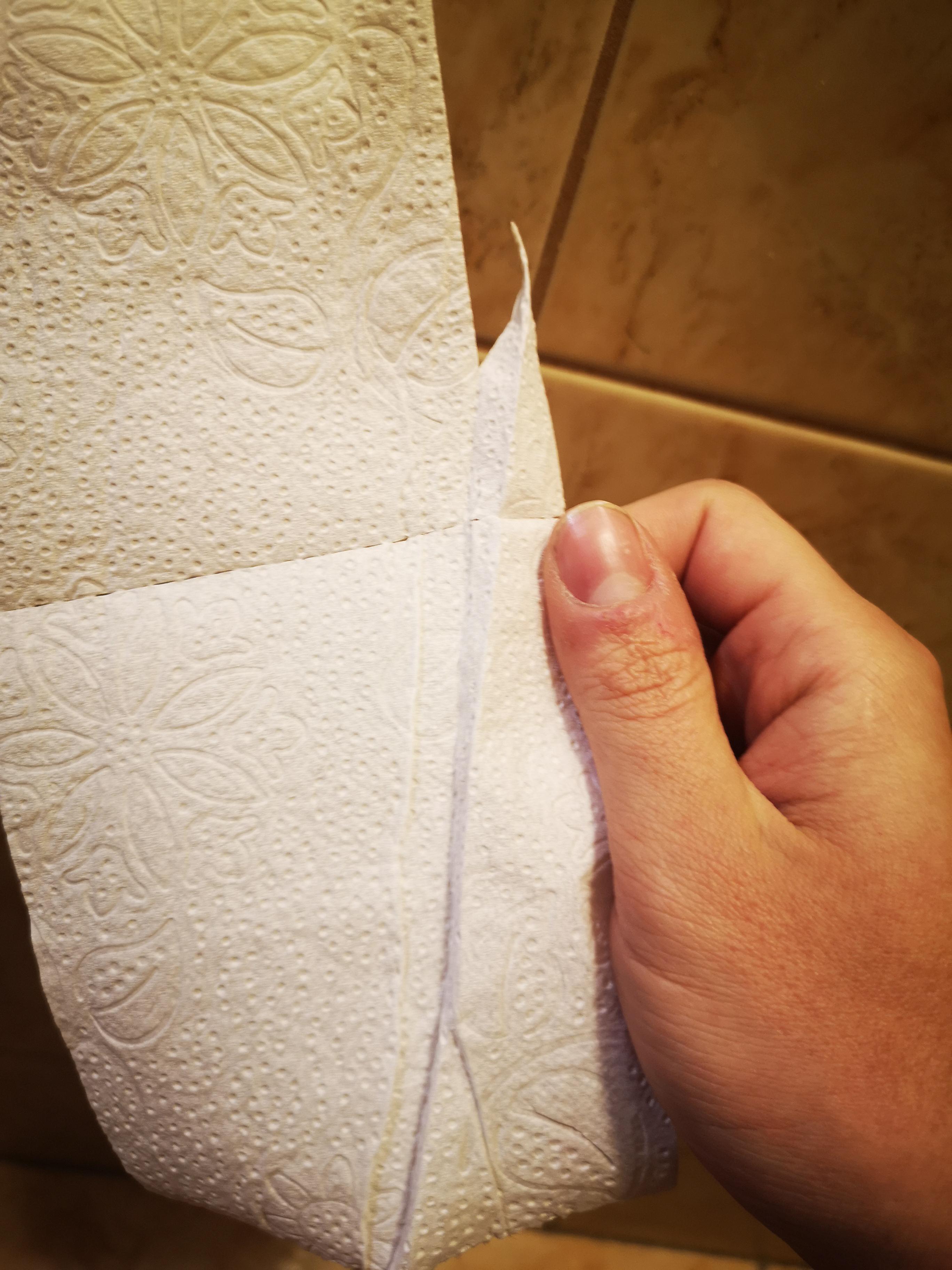 An oversized piece of toilet paper r/mildlyinteresting