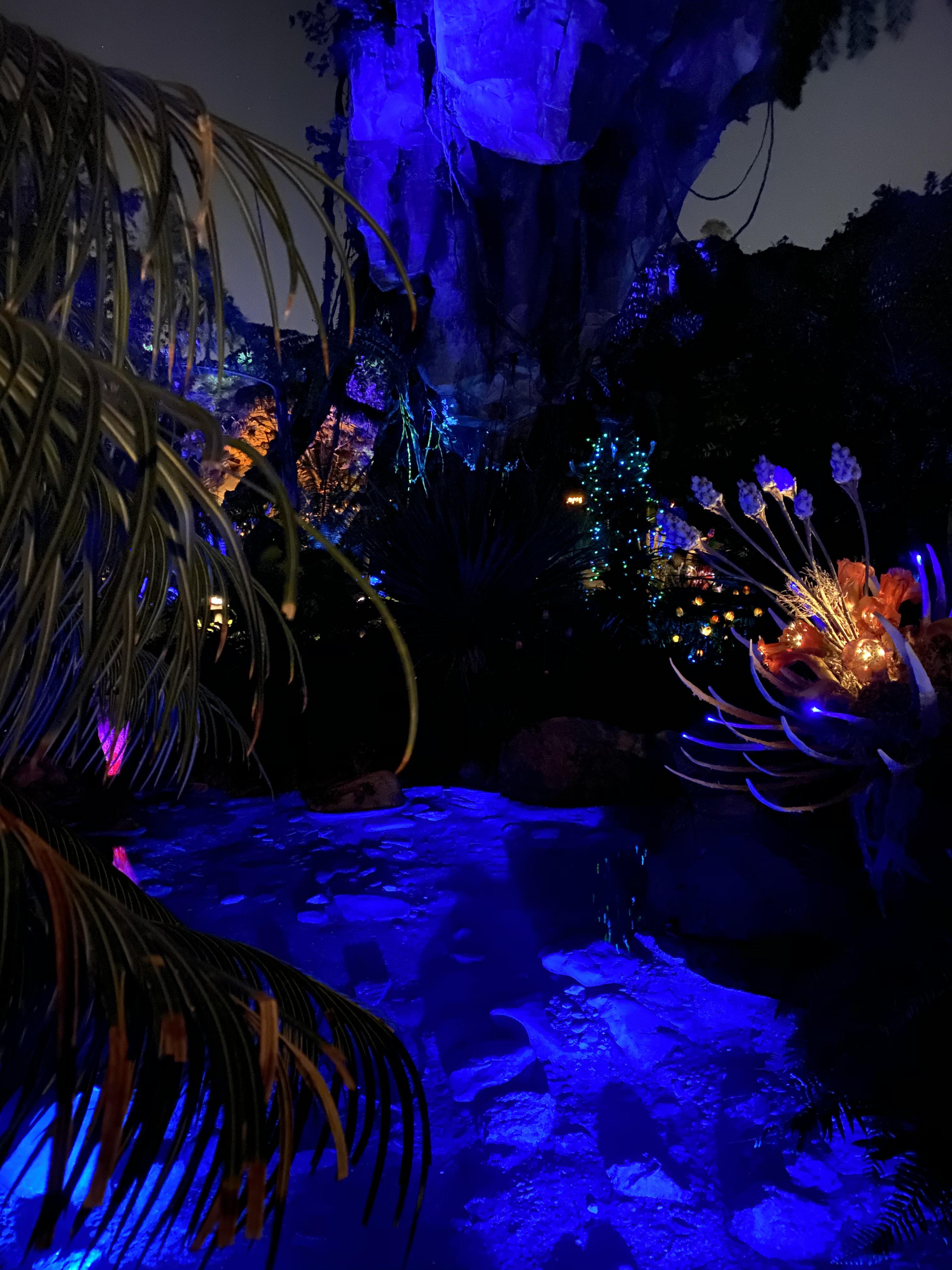 The mystical lands of pandora r/disneyparks