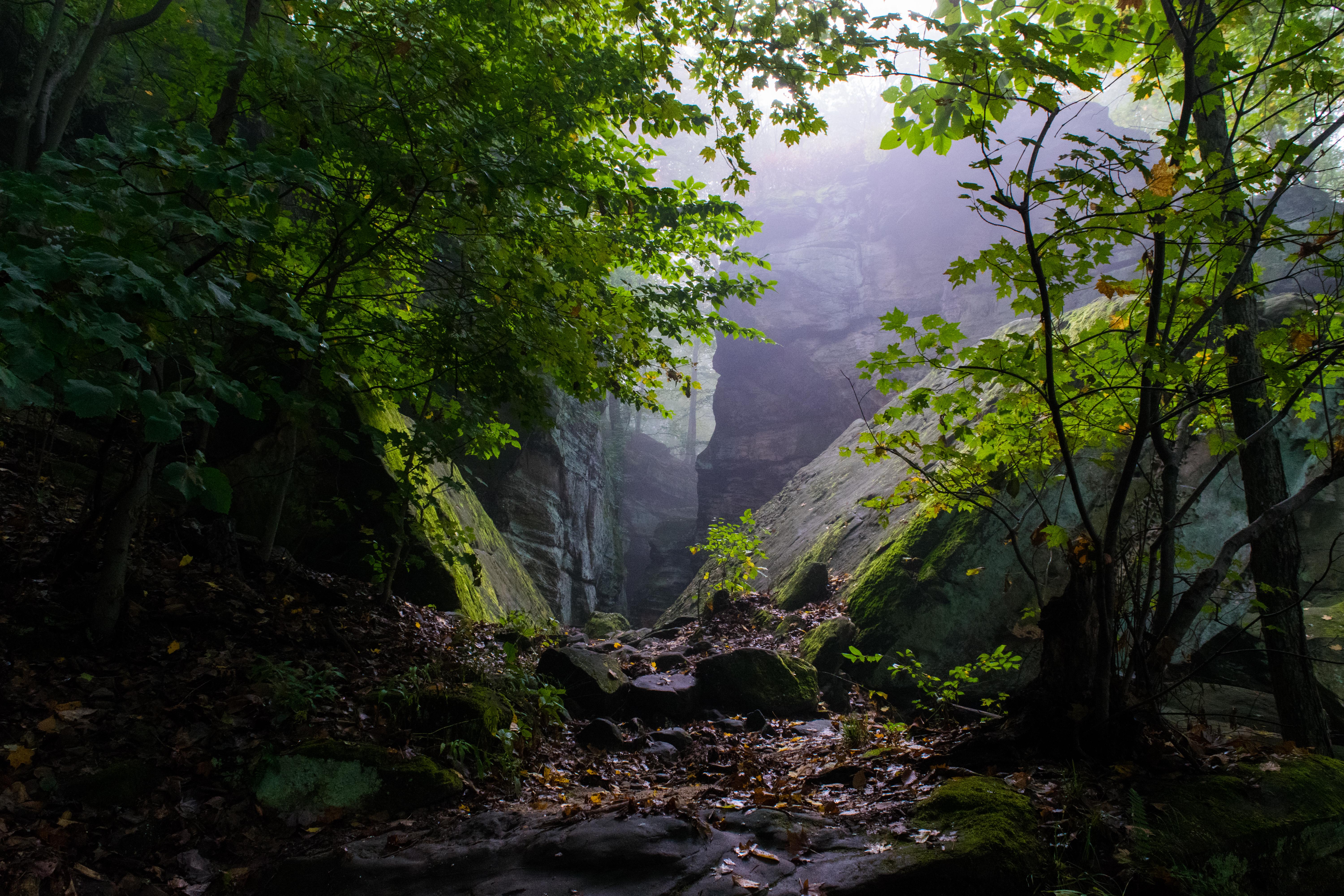 Whipps Ledges. Hinckley, Ohio r/Ohio