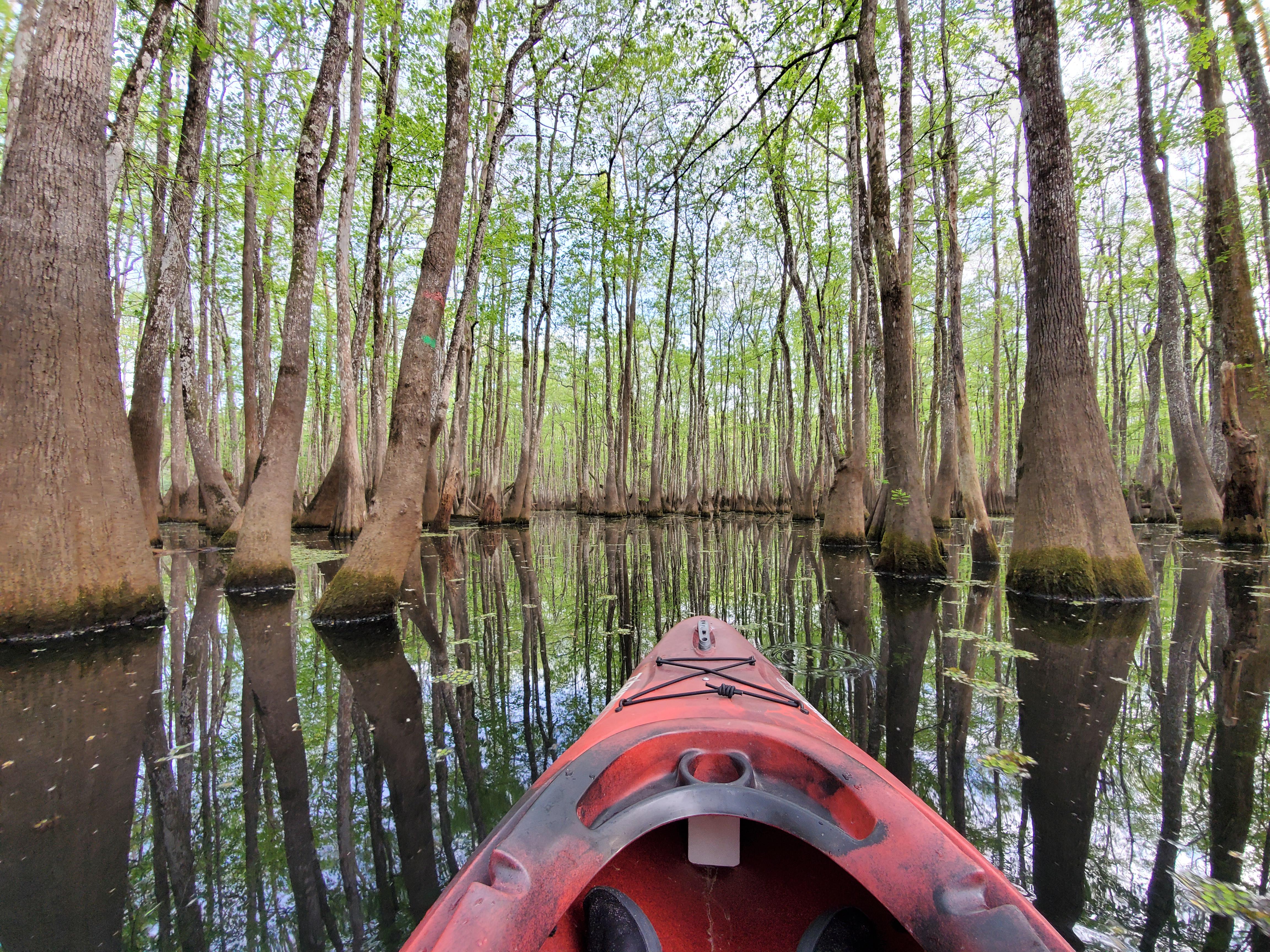 Finally got to take my new kayak out on the water! Cocodrie Lake