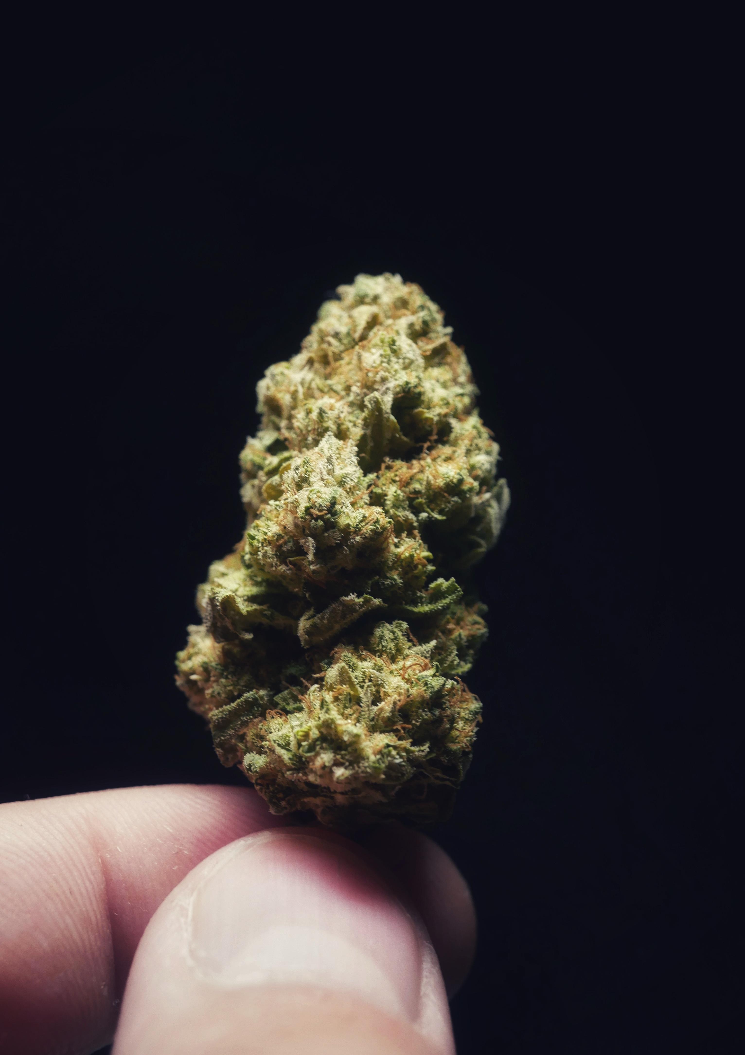 Got my first legal weed today, couldn't help but take a picture! D r