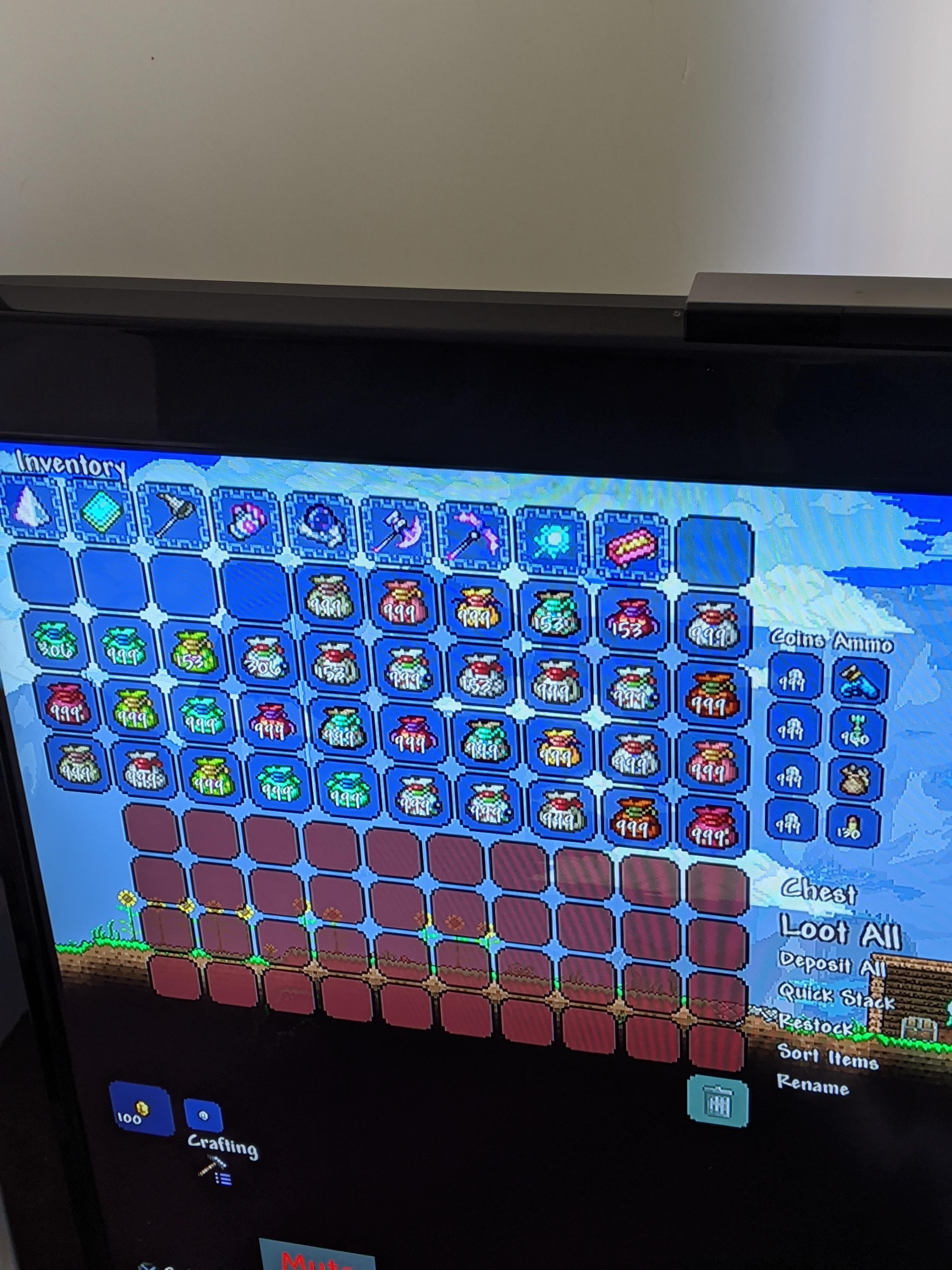 Me after 1/2 of duping treasure bags and platinum coins on PS4. r