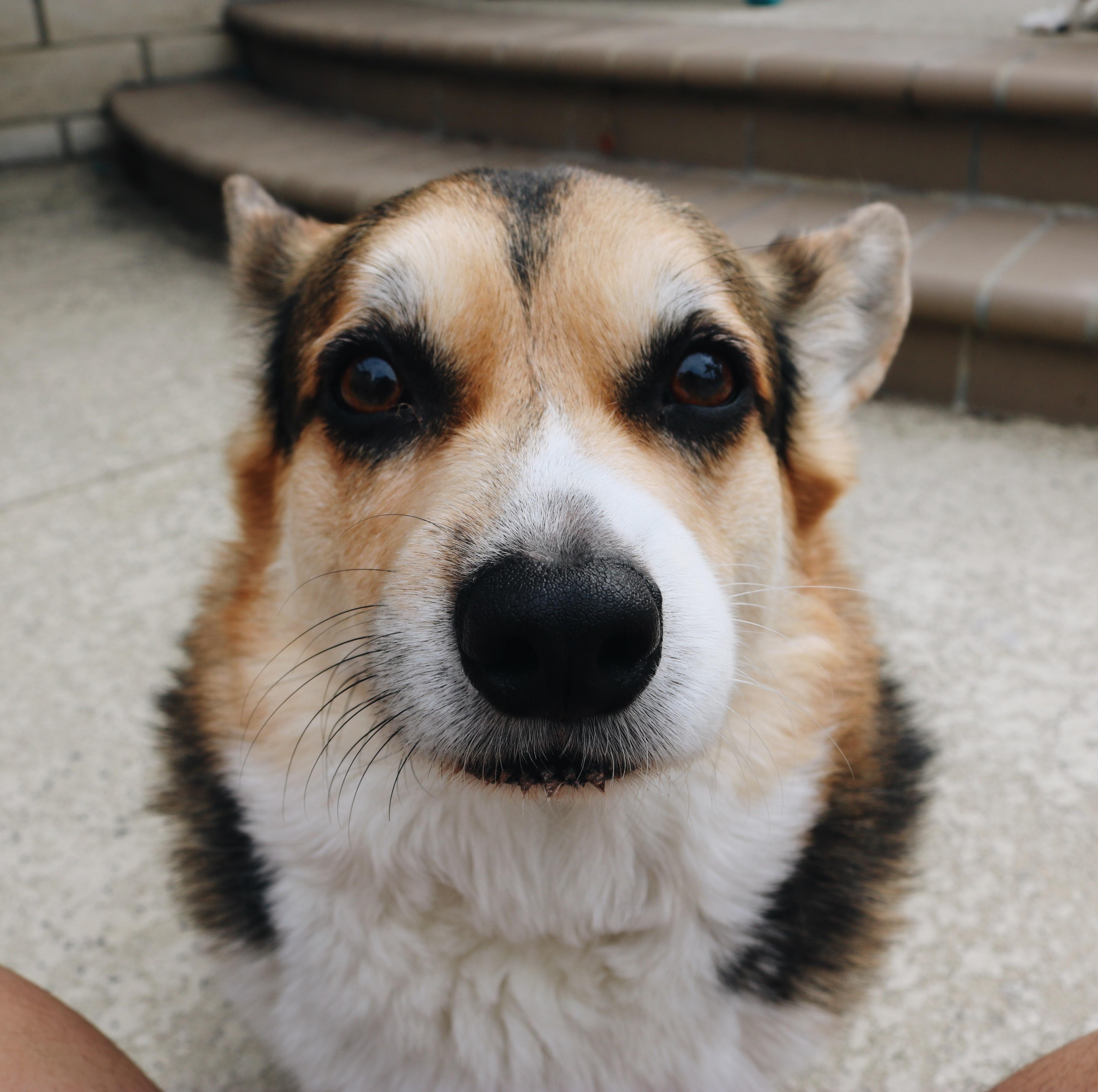 He got jealous of me taking pictures of his brother