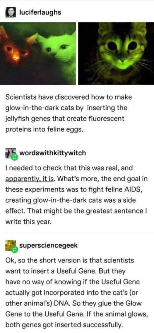 Do I smell Sheldon? He indeed invented "Glow in the dark fish" and his