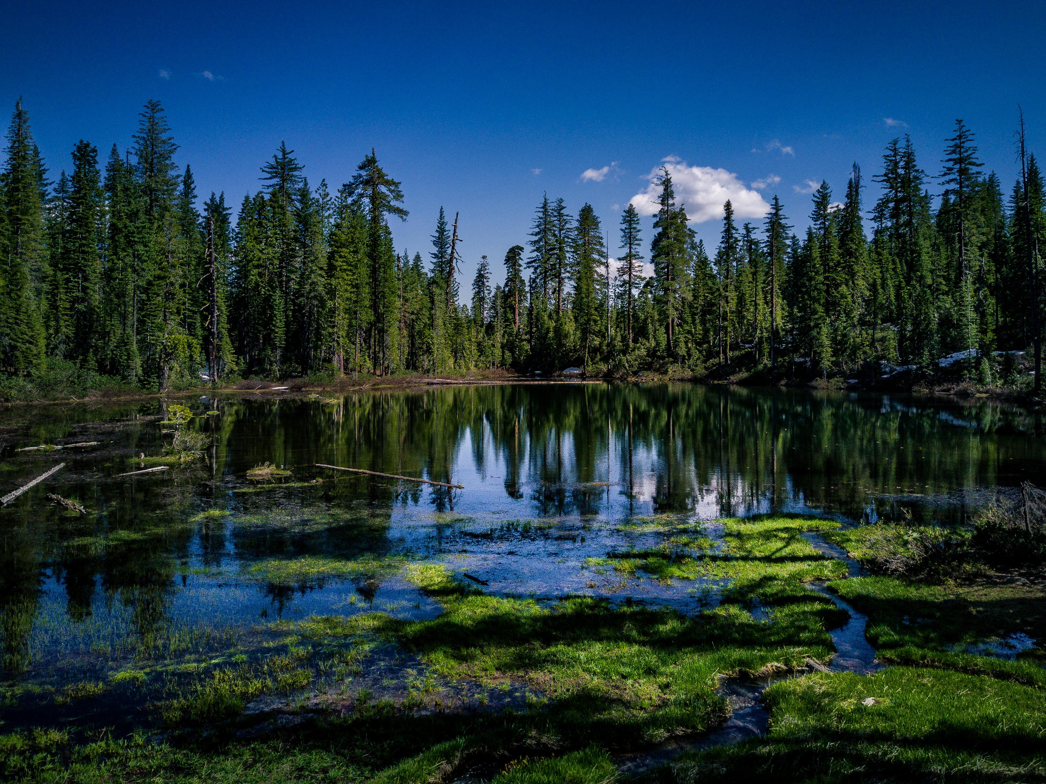 Lake Eleanor in the ShastaTrinity National Forest, CA [OC] [3472x2602