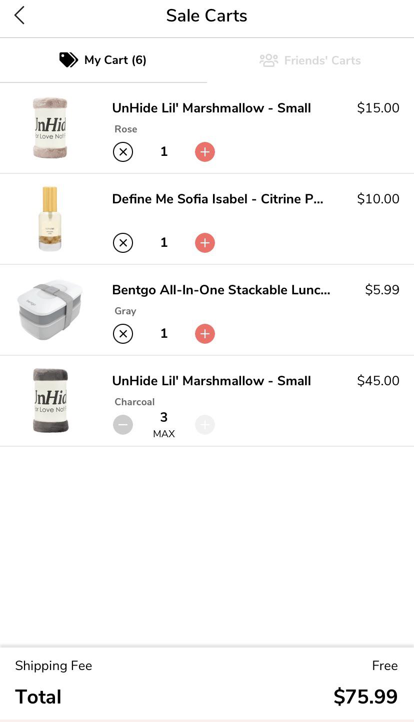 My winter edit sale haul. I gifted a family member one Unhide