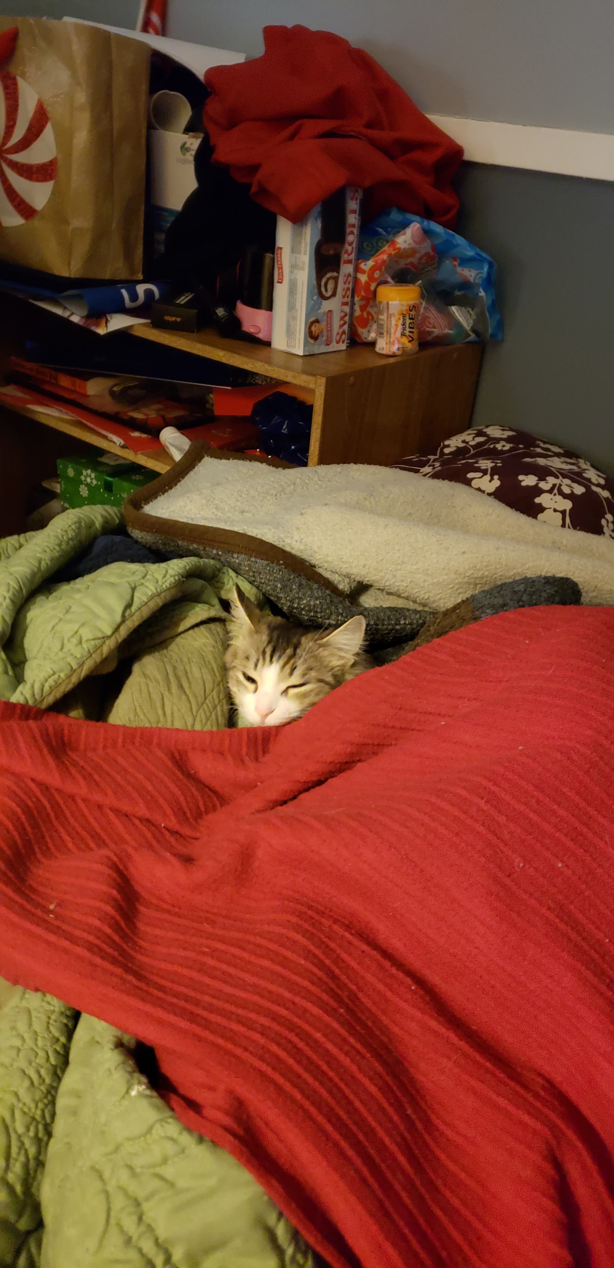 We made our cat into a blanket burrito r/TIGHTPUSSY