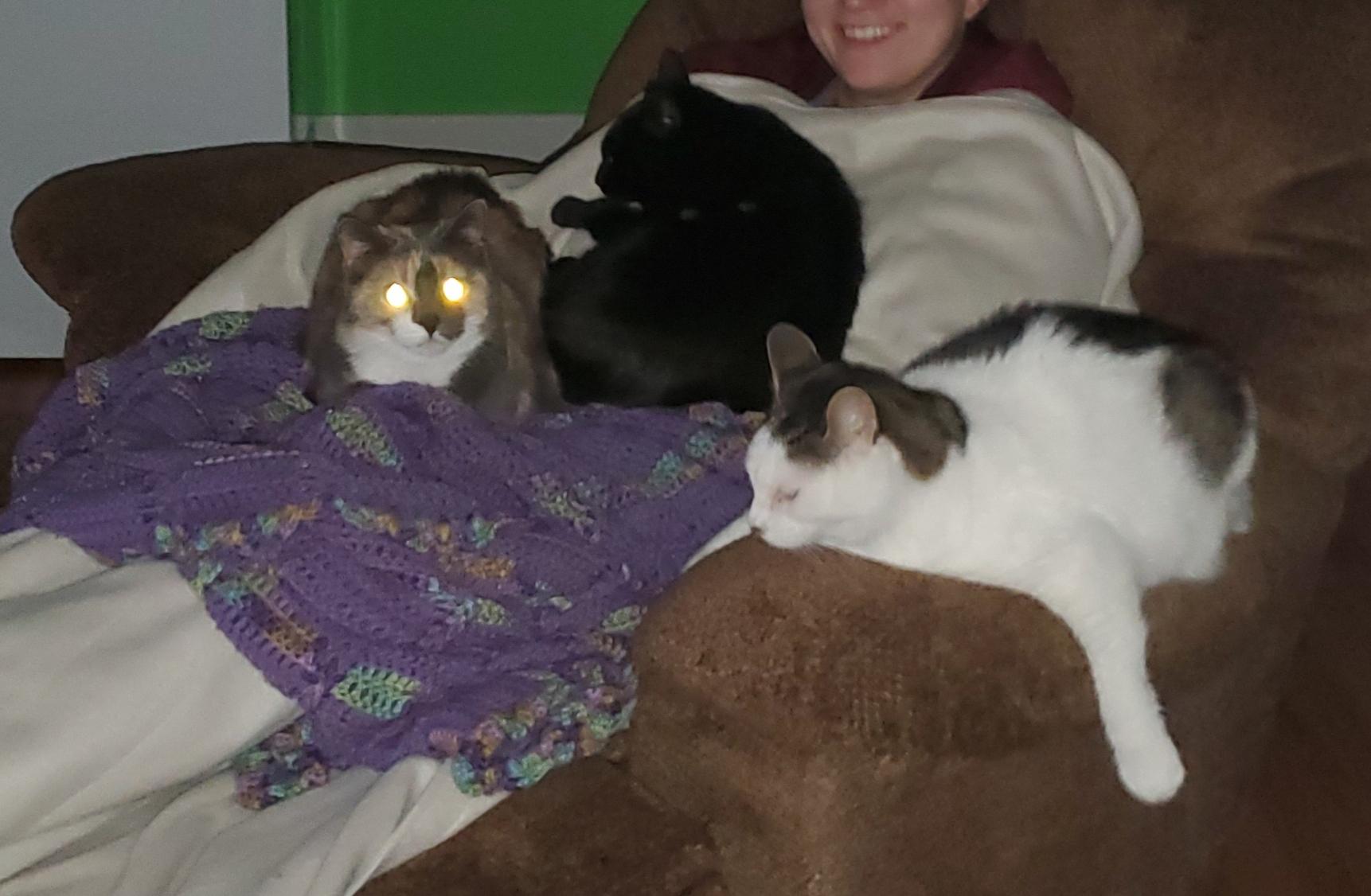 When you pull out the heated blanket. r/cats