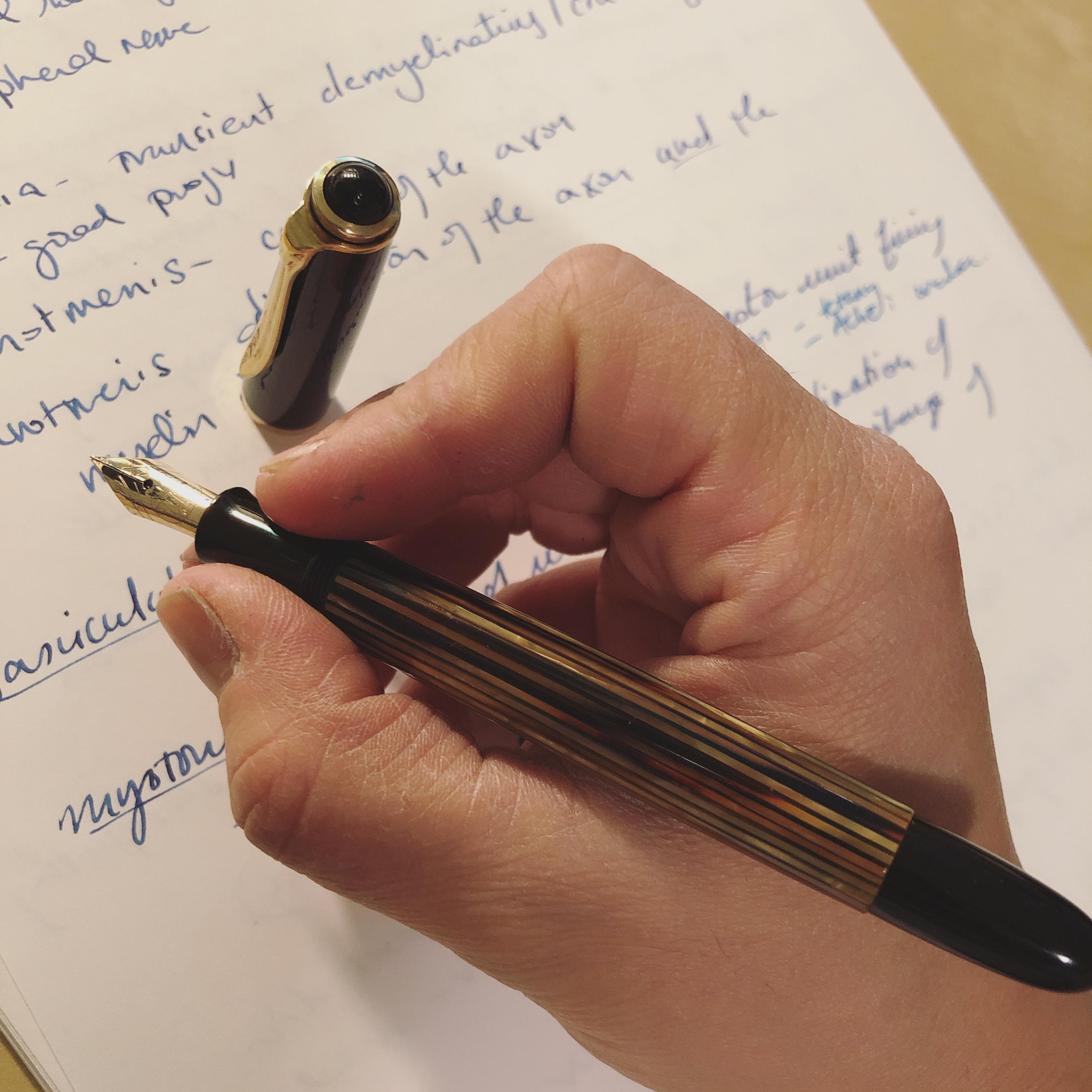 My vintage “grail” pen I don’t use that term lightly. Hello birdie