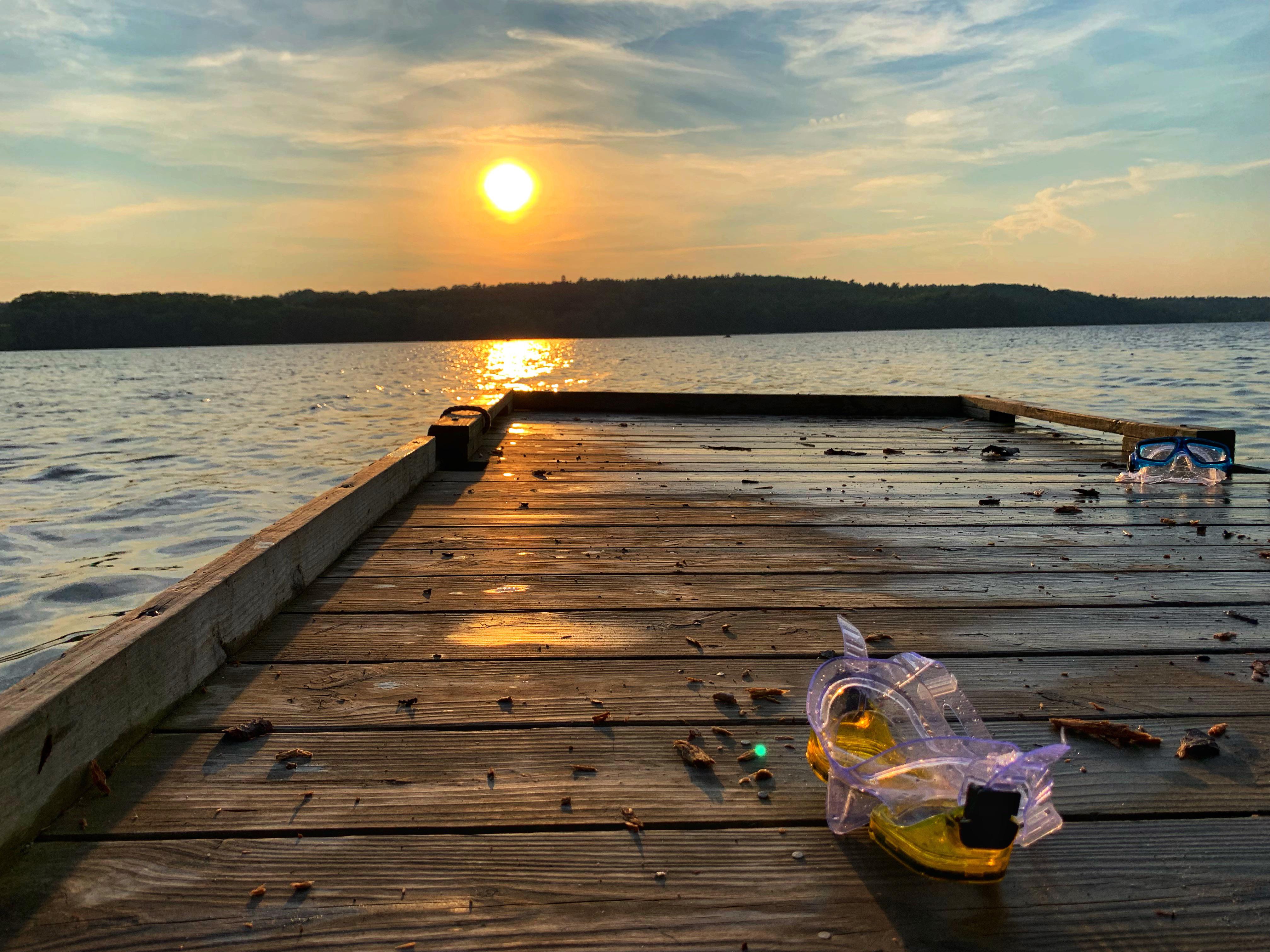 Summer in Brooklin r/Maine