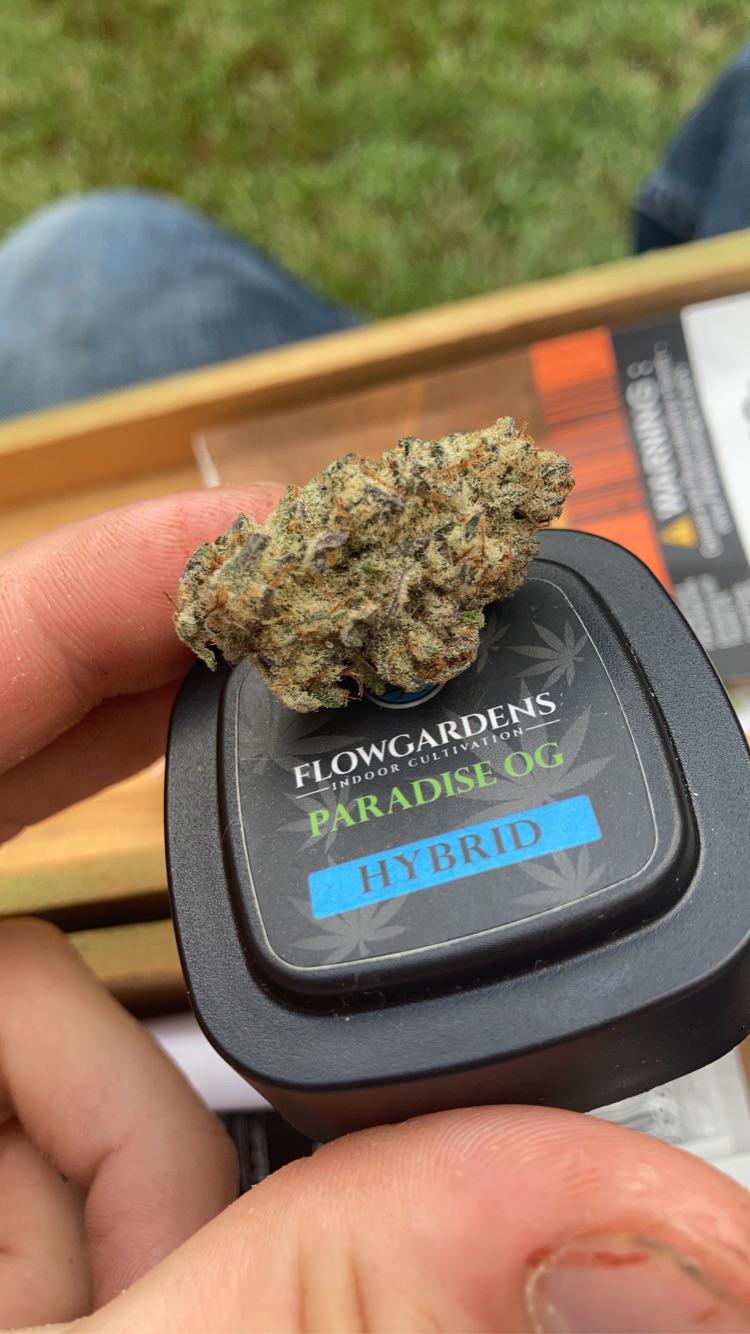 Paradise OG CultoftheFranklin