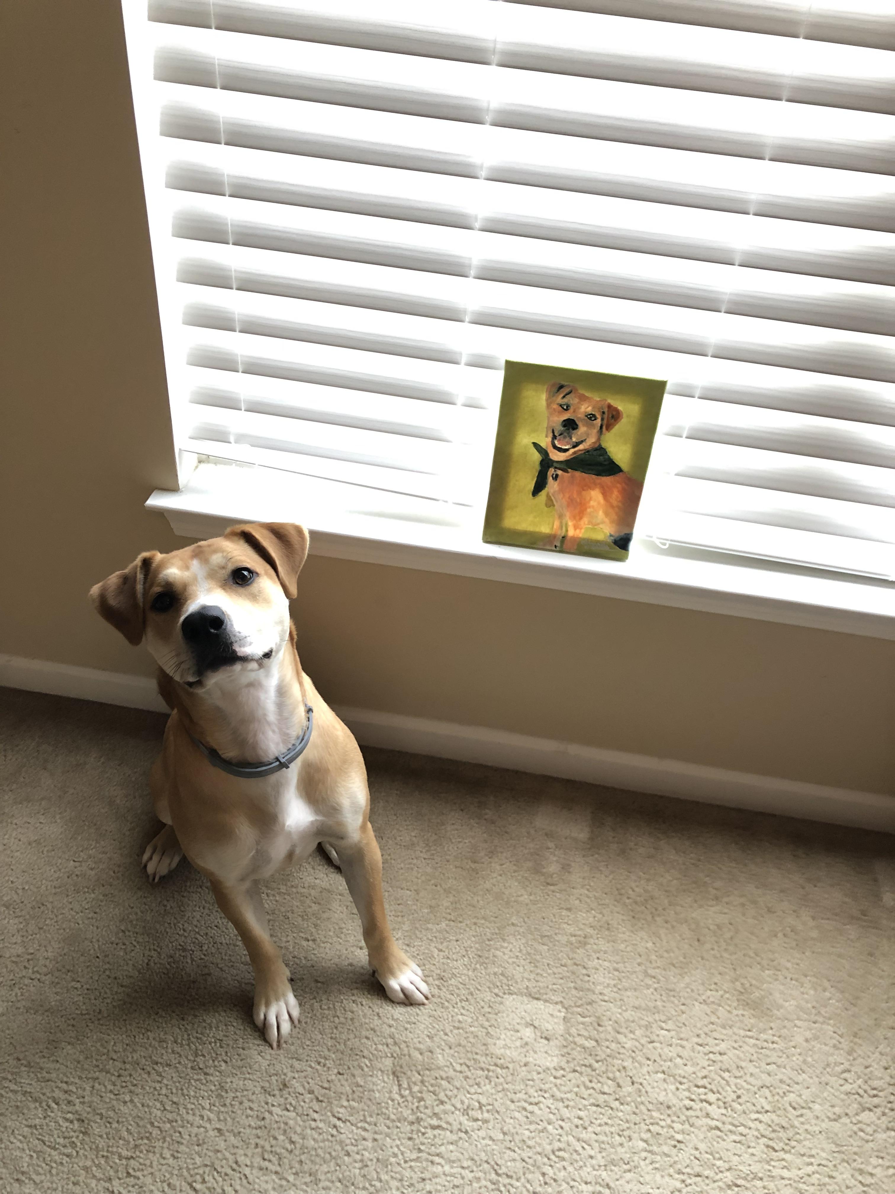 Someone decided to paint my dog r/aww