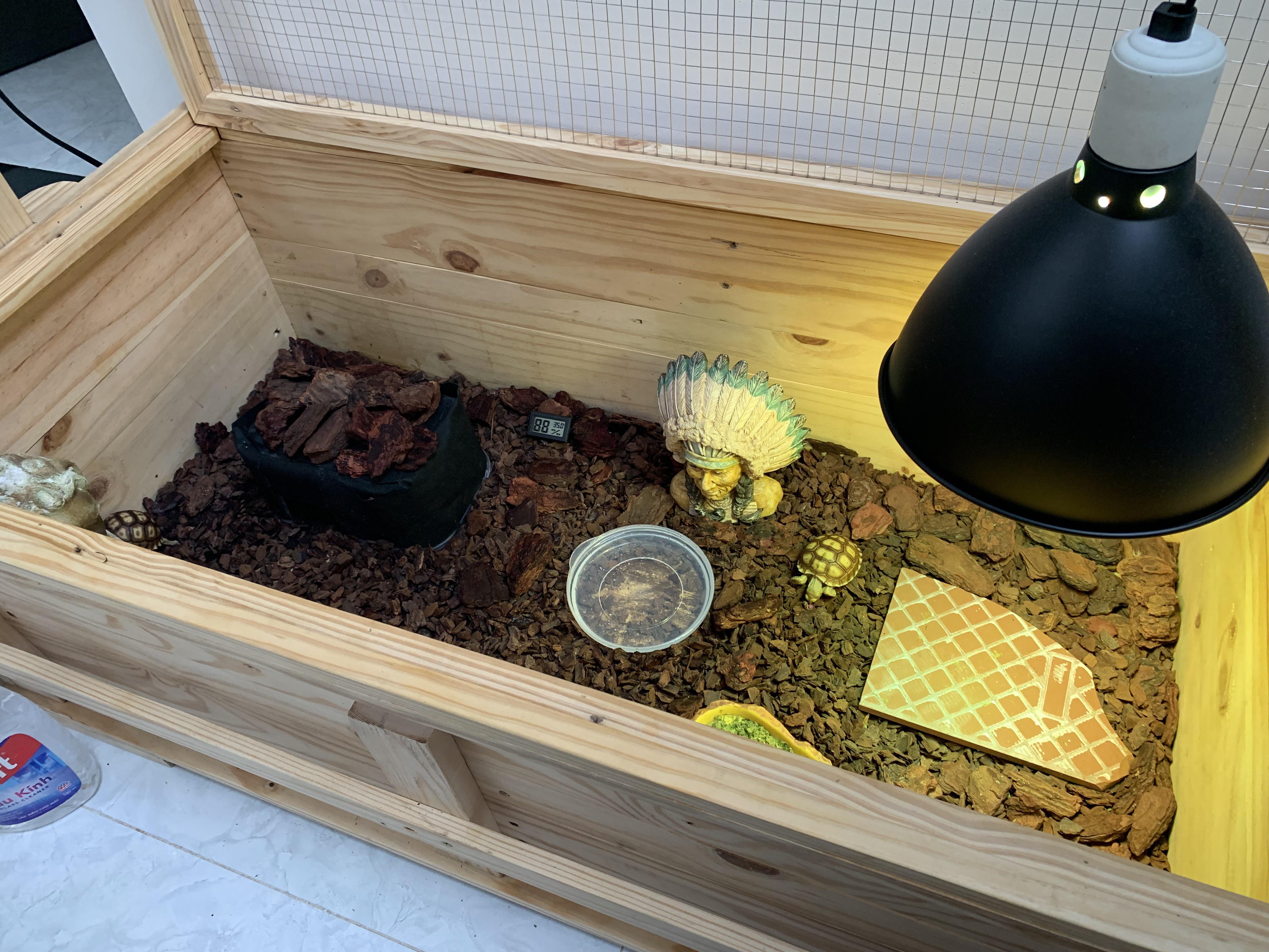 Baby Sulcata Tortoise Enclosure