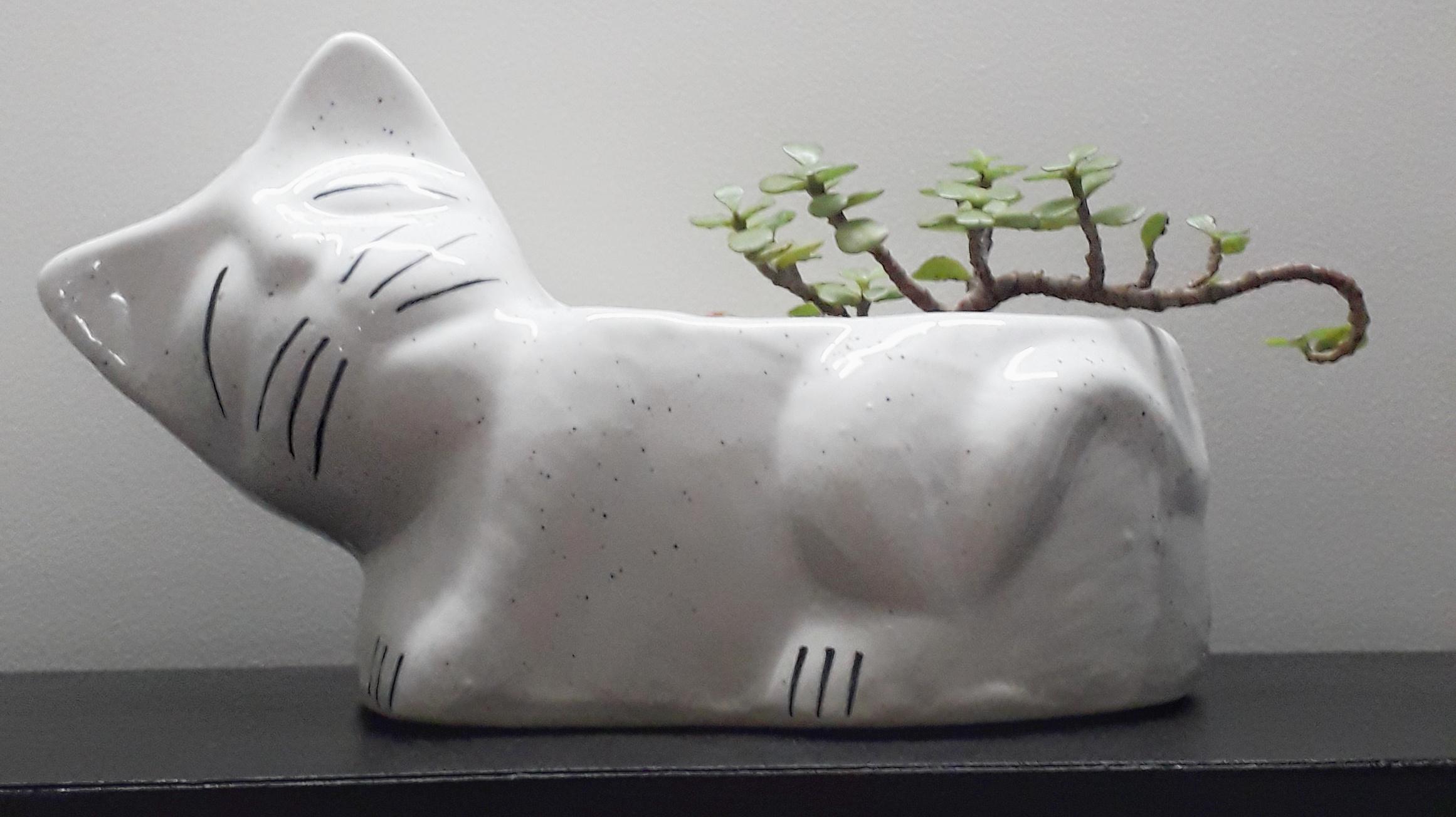 jade plant in cat planter 🐱💚 r/plantsandpots