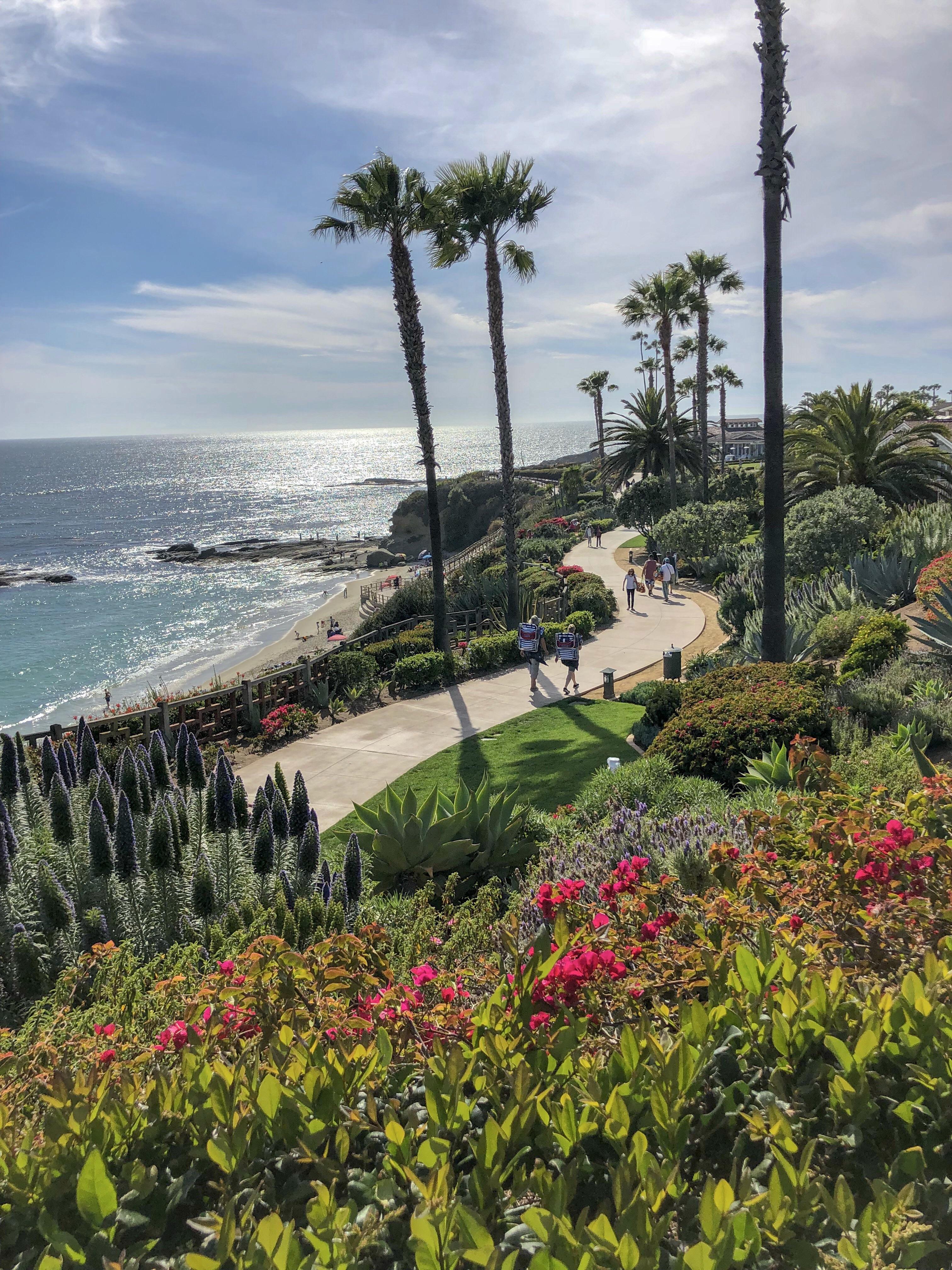 OC’s Heisler Park r/LosAngeles