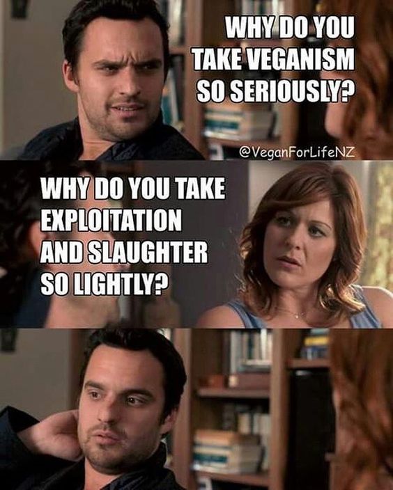 To the non vegans who ask us why we take veganism seriously... vegan
