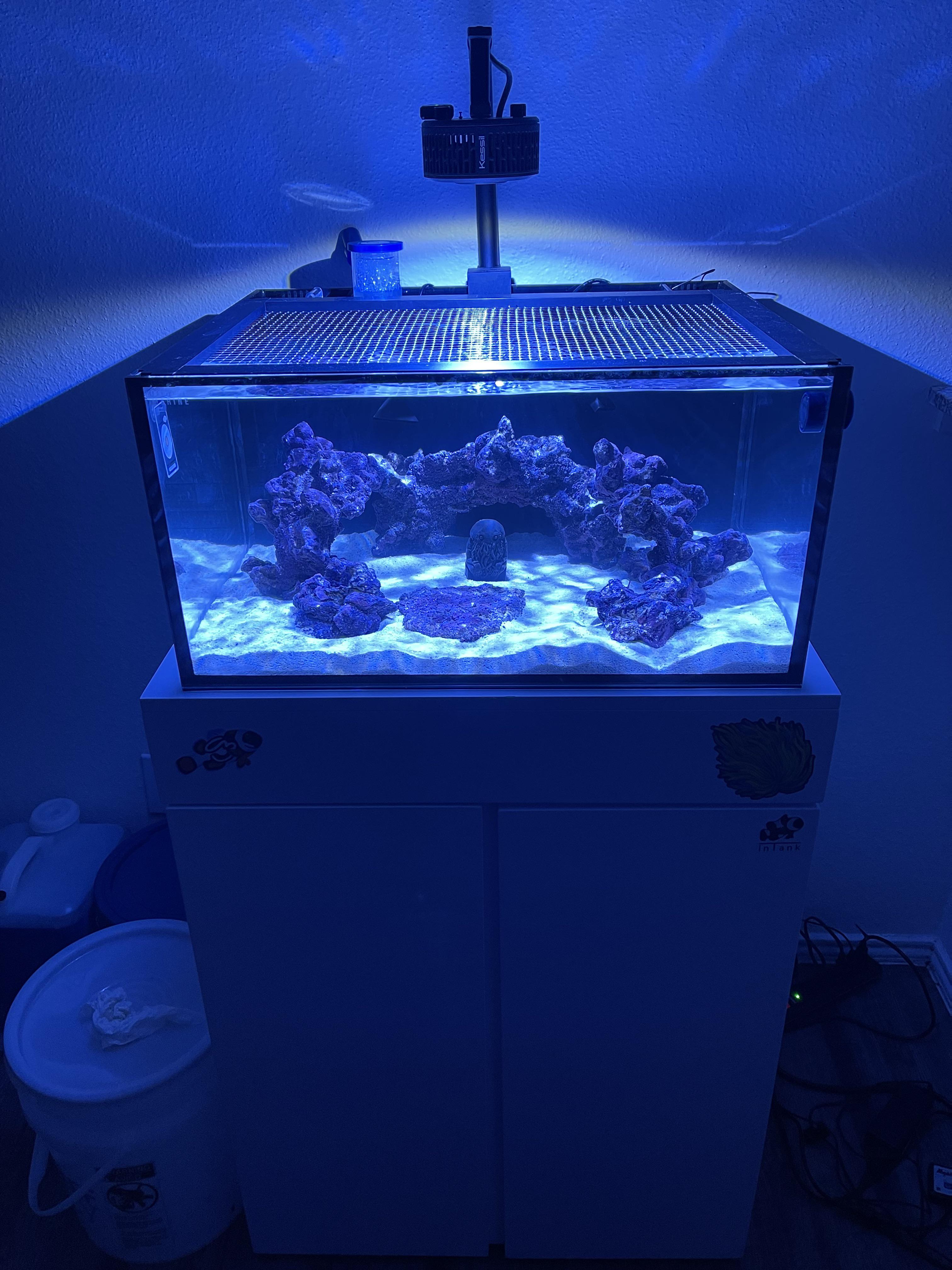 Cycling a new IM 25 lagoon r/Aquariums