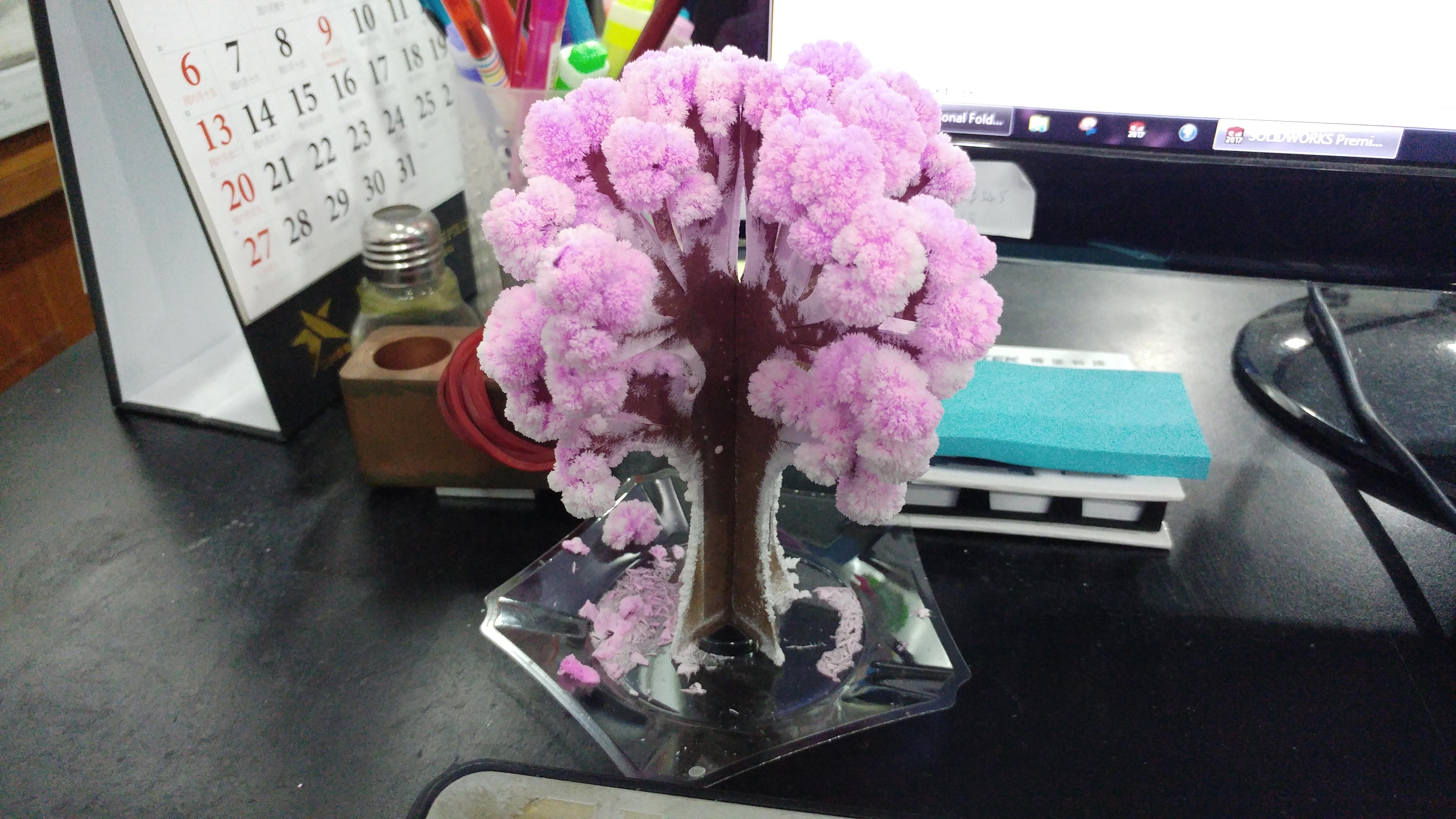 Salt crystal cherry blossom tree Like For Real Dough