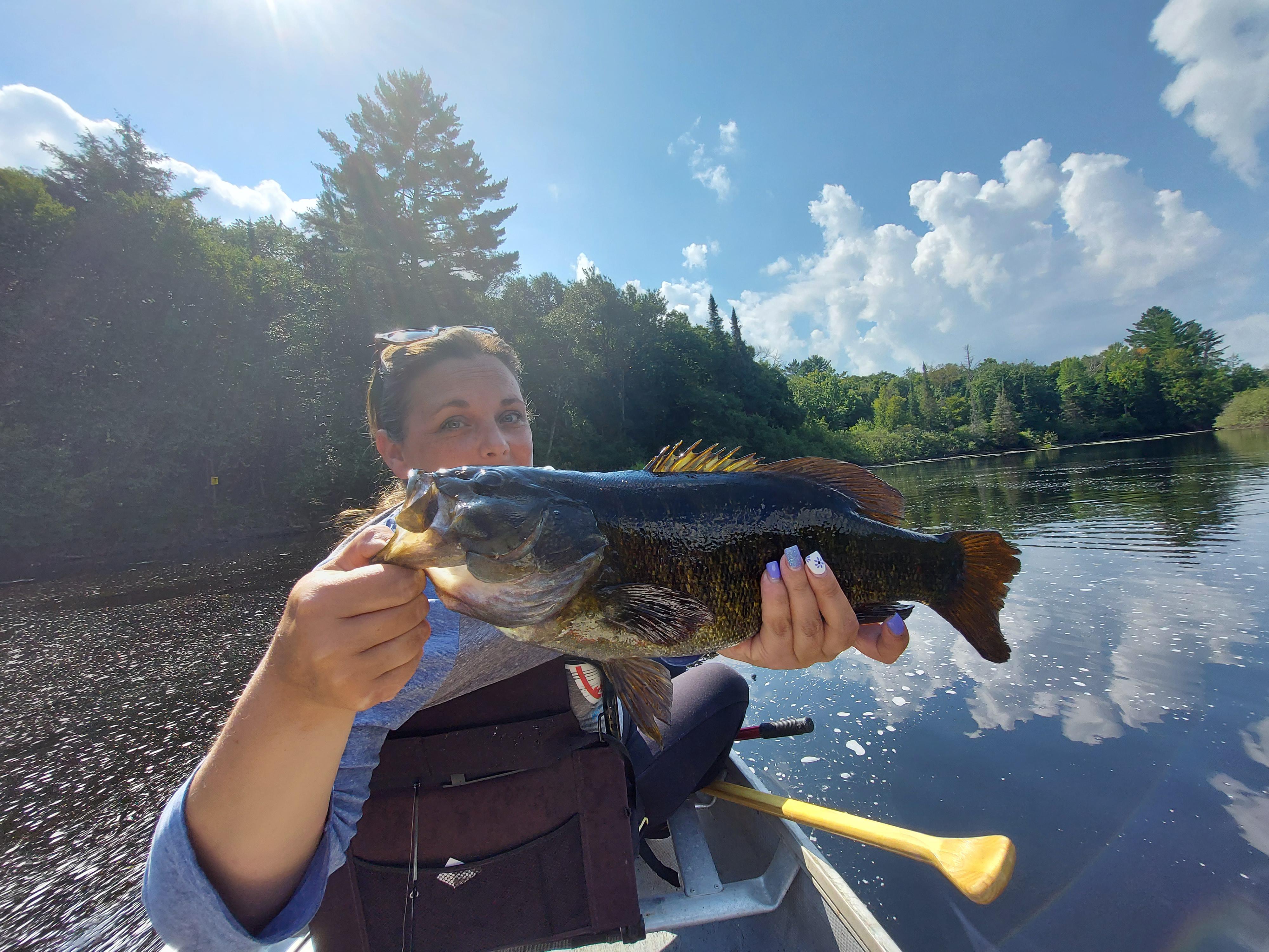 Ragged falls Ontario Canada, in Algonquin Park. r/Fishing