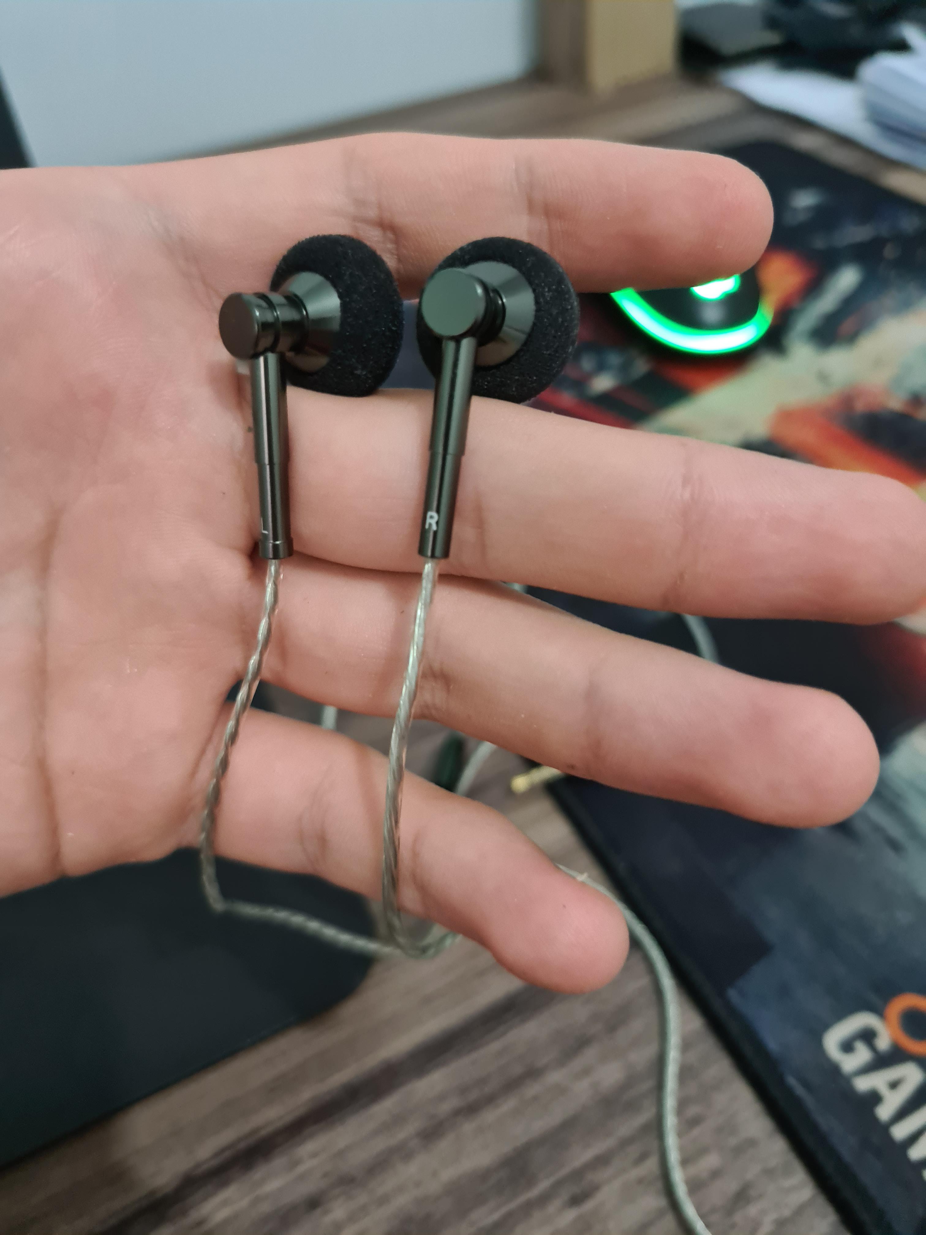 These things ate the most impressive set of earbuds ive ever tried r