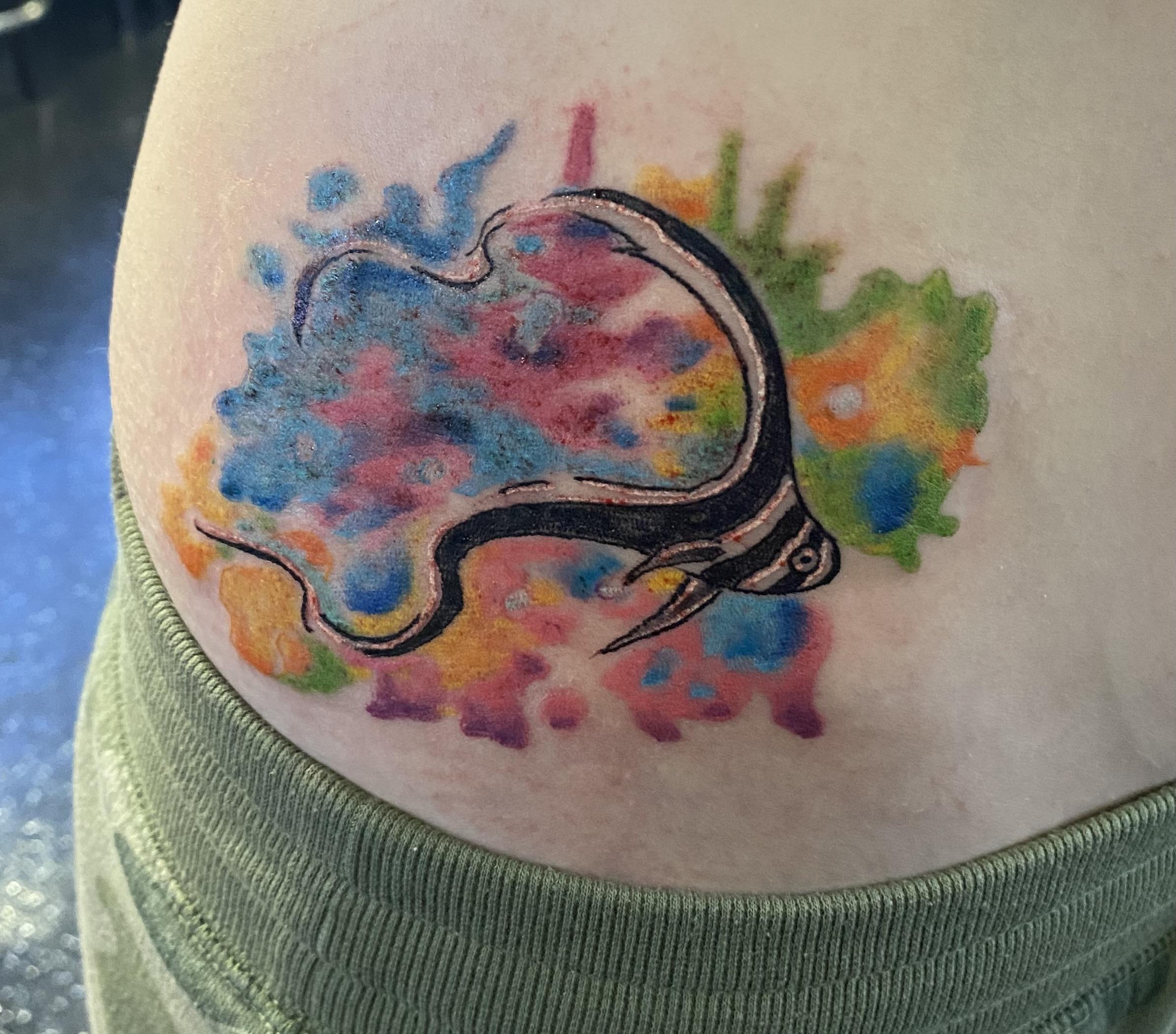 First tattoo juvenile drum fish r/scuba