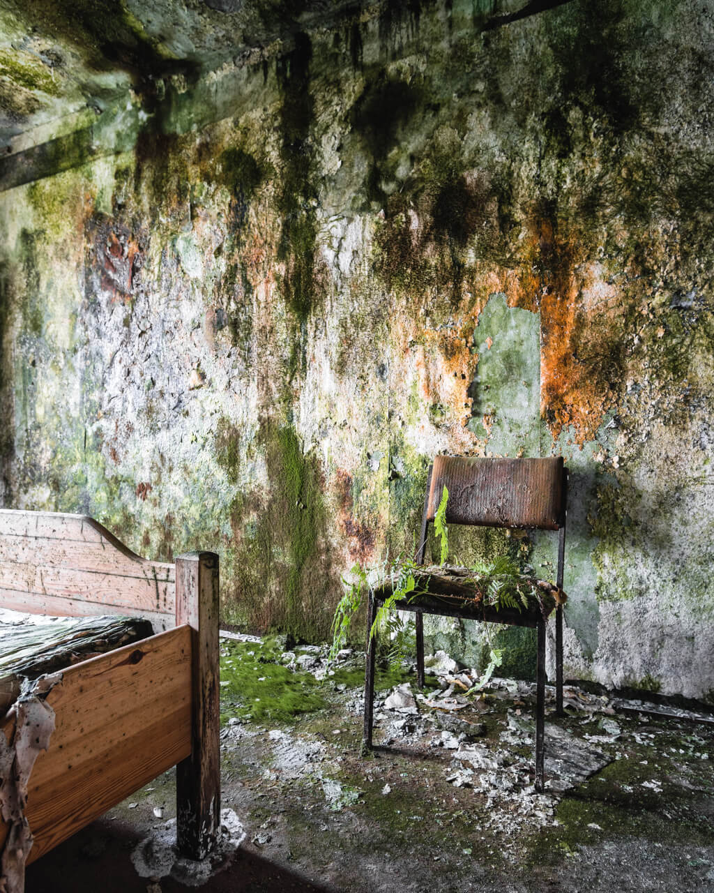 hotel room covered in mold [1024x1280][OC] r/AbandonedPorn