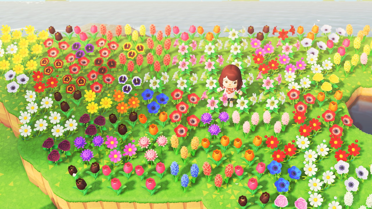 This is what happens when you love to breed flowers but then dont quite