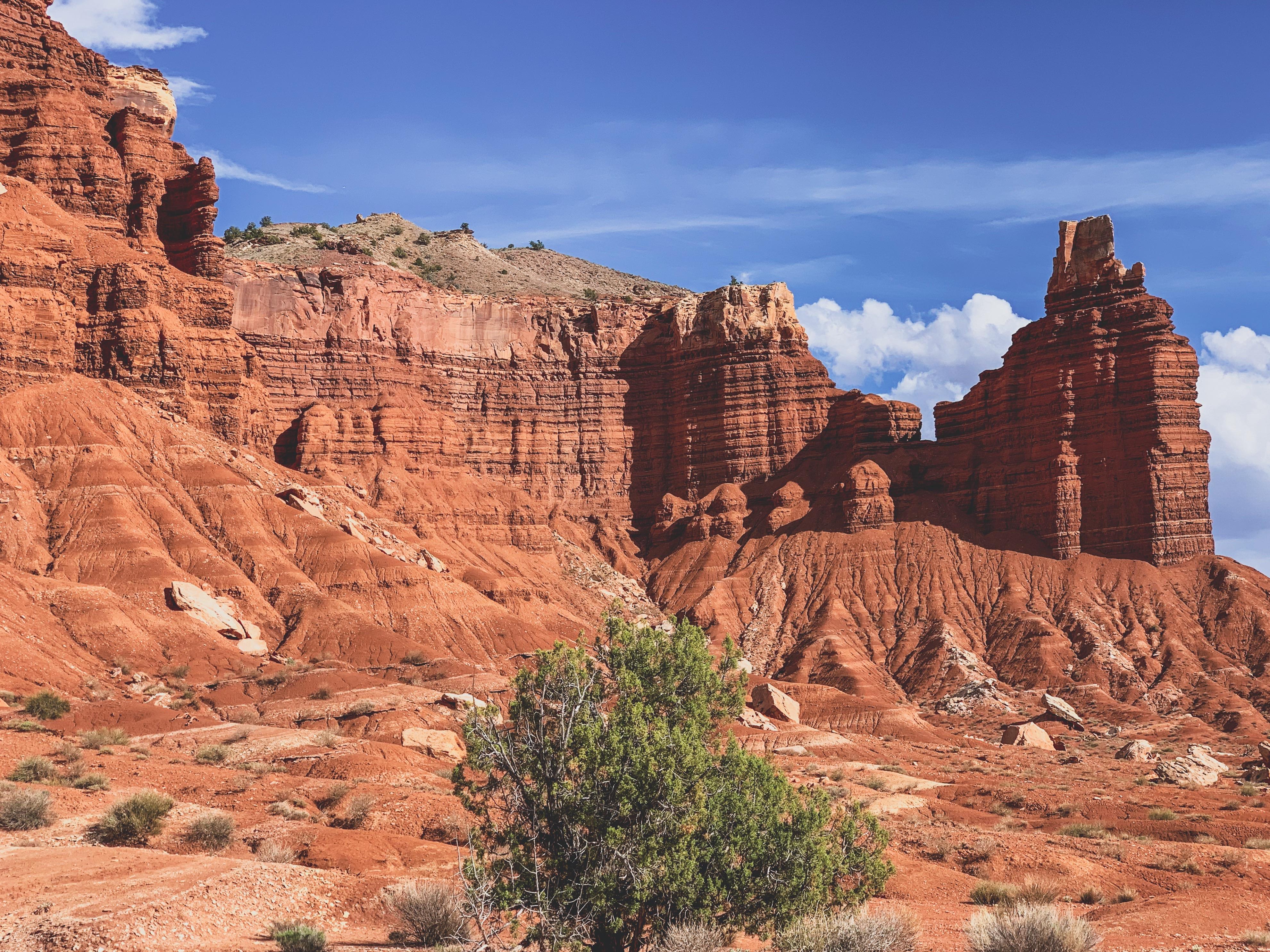 Spent a week working (and playing) in Capitol Reef. The orchards are