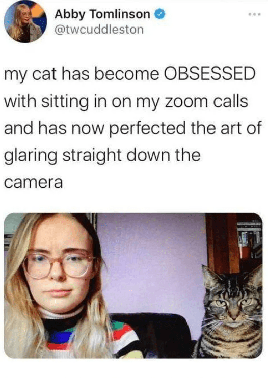 Reddit Dive into anything