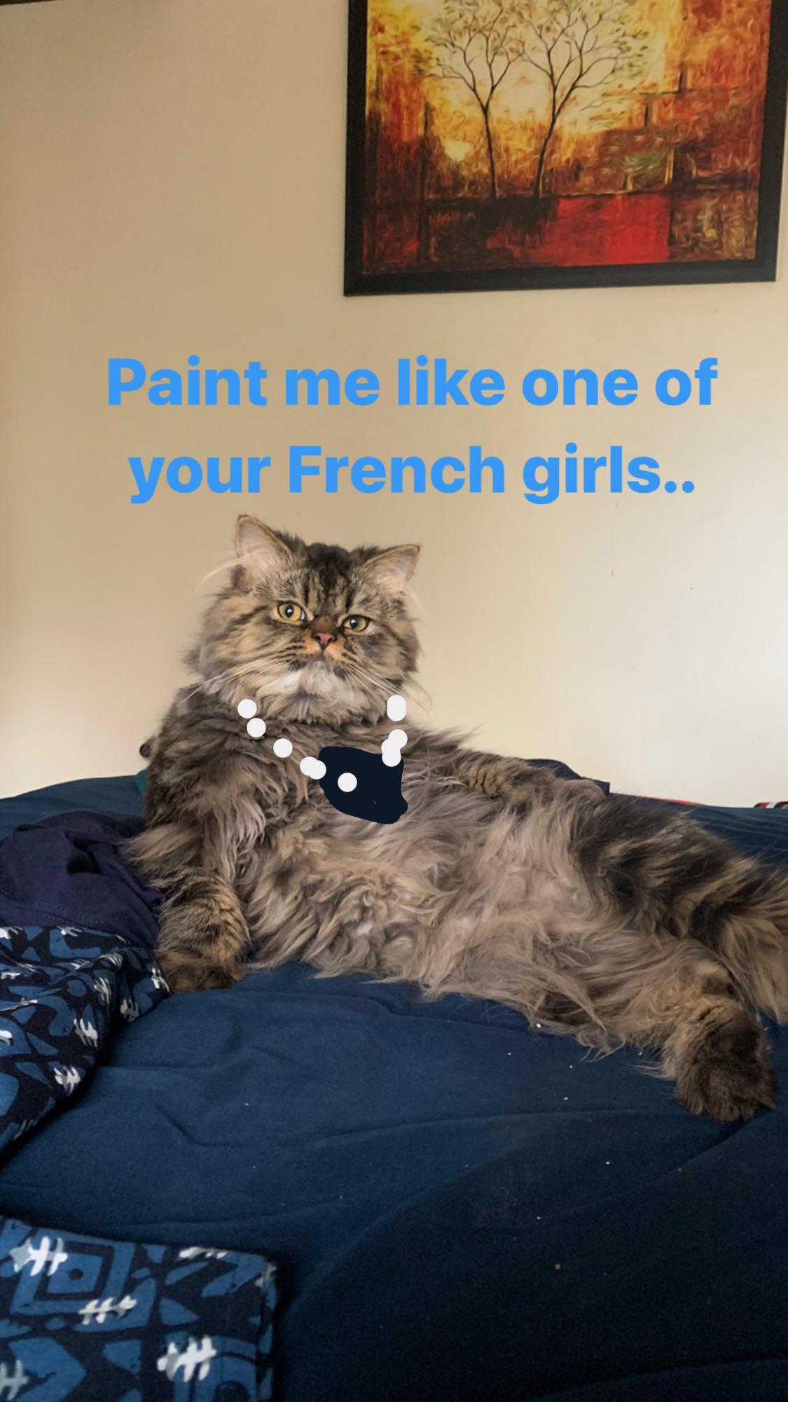 Paint me like one of your French girls! r/Catmemes