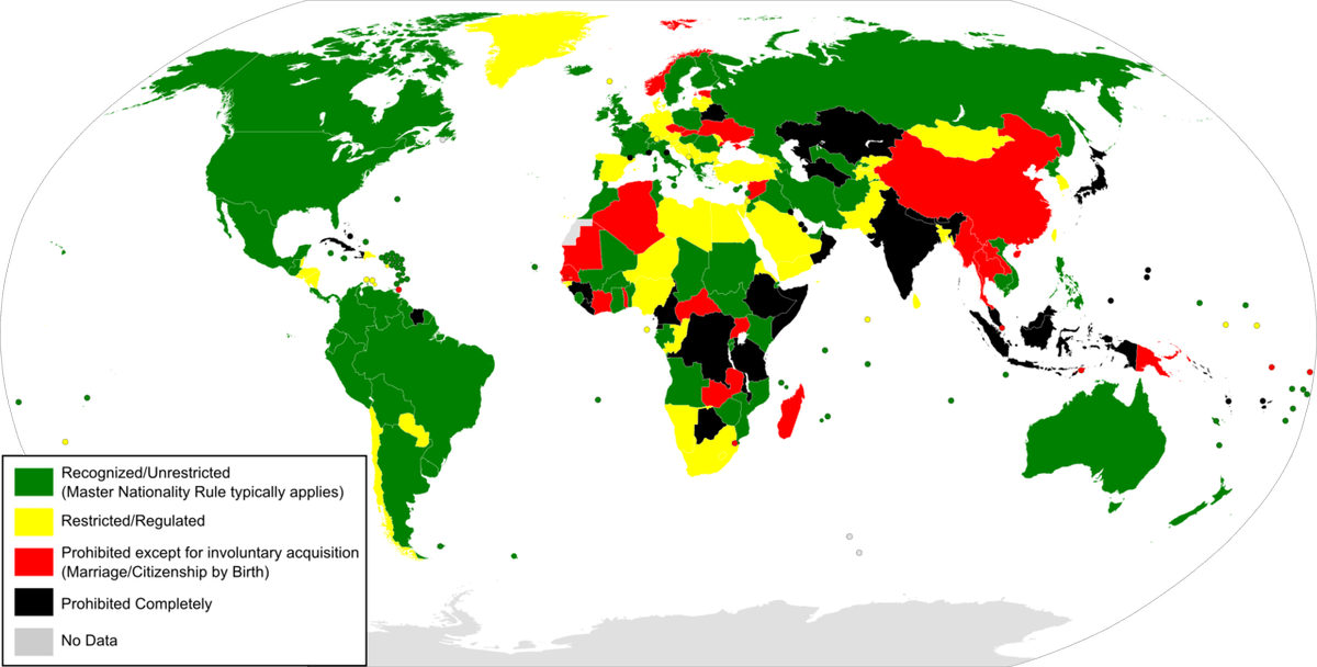 Do you think Brunei should allow dual nationality (nationals able to