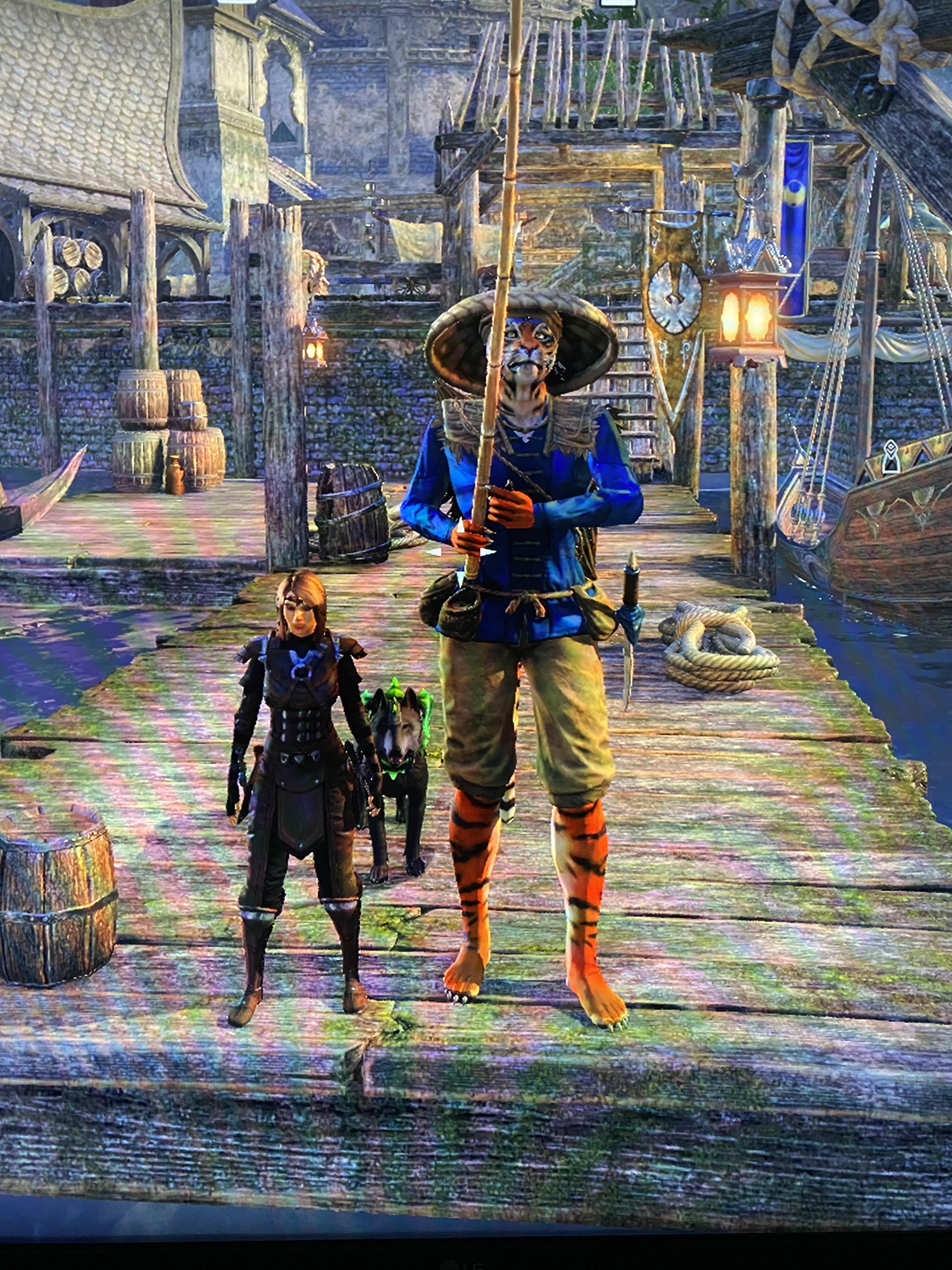 Why is this NPC so tall?? (I am max height wood elf)