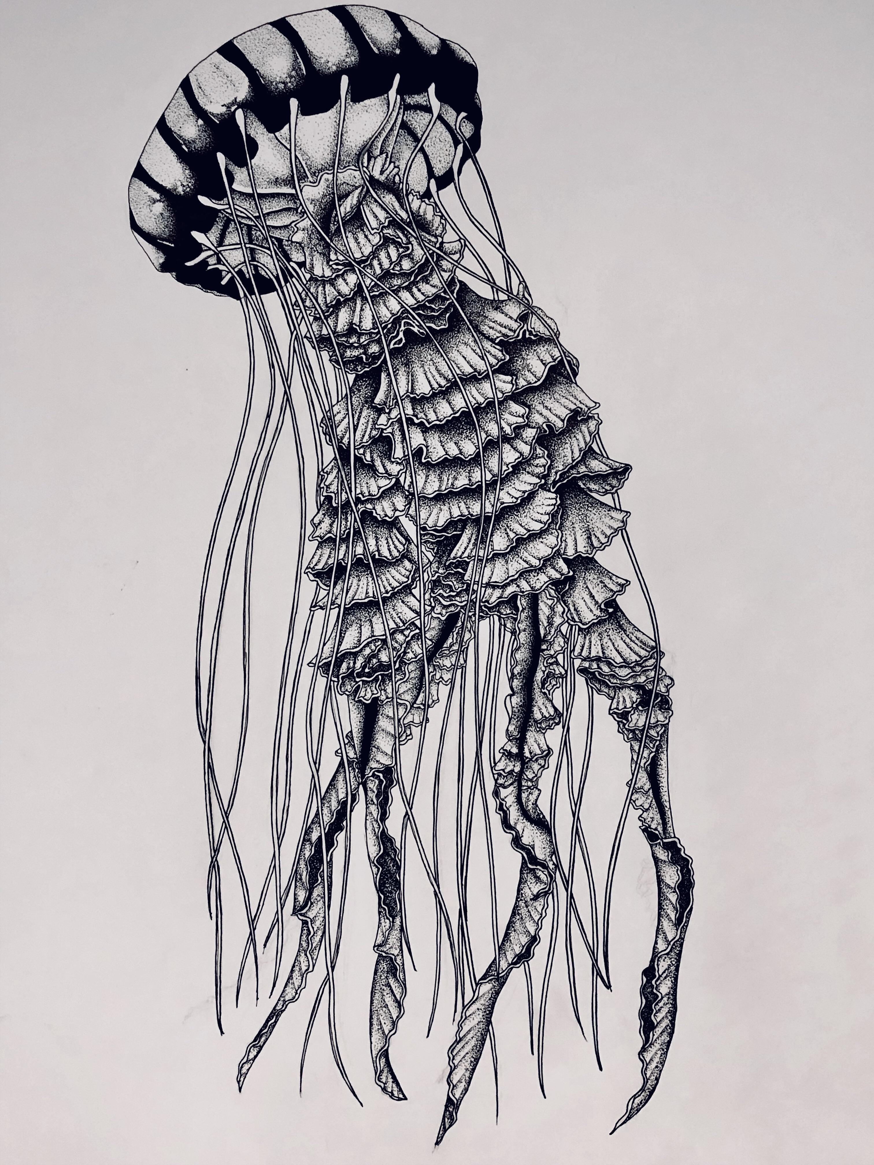 19’x24’ dotwork jellyfish done with a .01 micron pen r/drawing