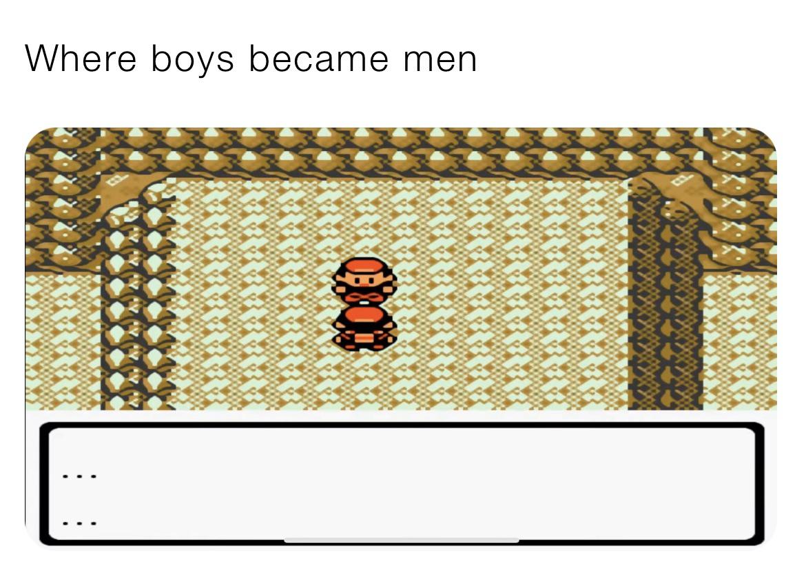 [OC] This dialogue said it all. r/pokemon