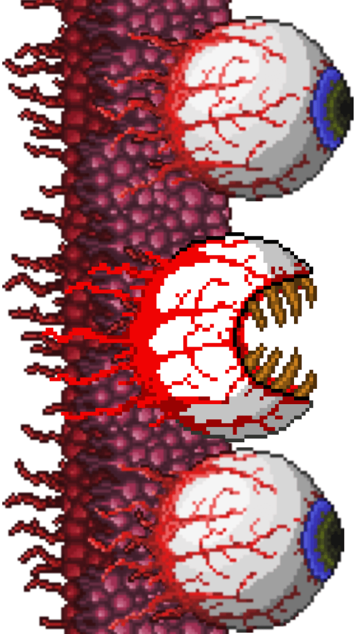 wall of eye of cthulhu TerrariaMemes